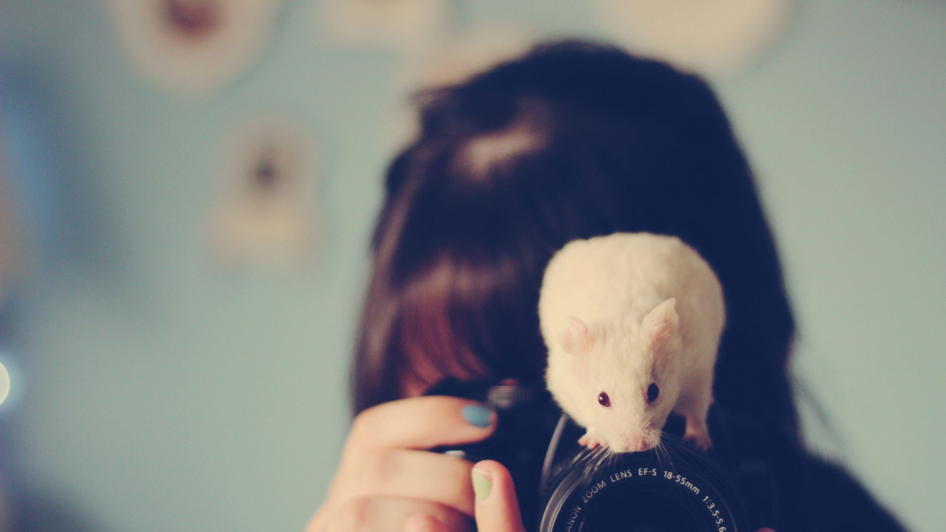 小清新 唯美 温暖 温馨一刻 静物写真