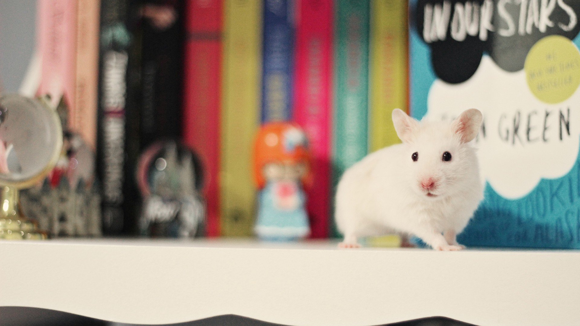 小清新 唯美 温暖 温馨一刻 静物写真