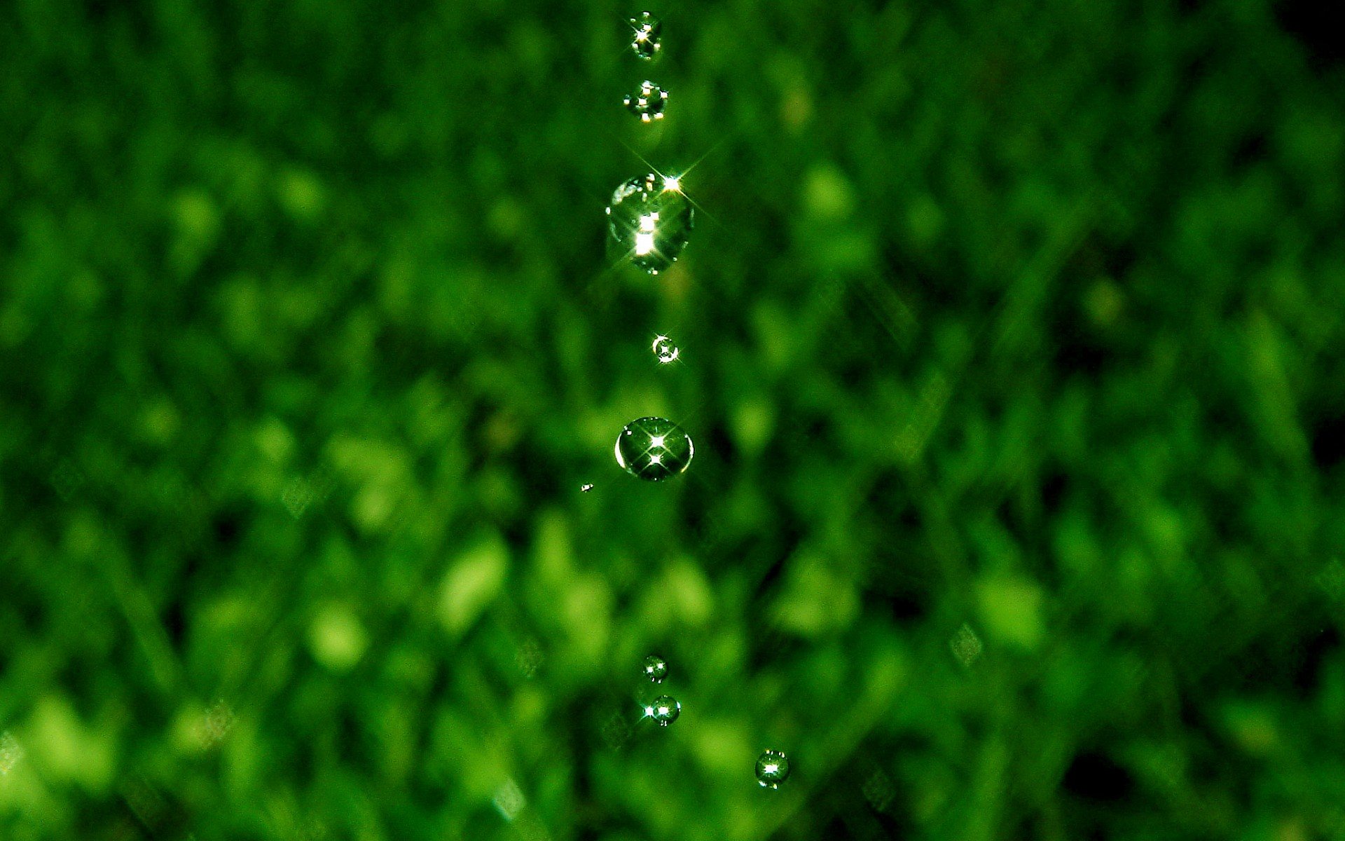 小清新 风景 自然风光 绿色植物 绿色养眼 春天 唯美 安静