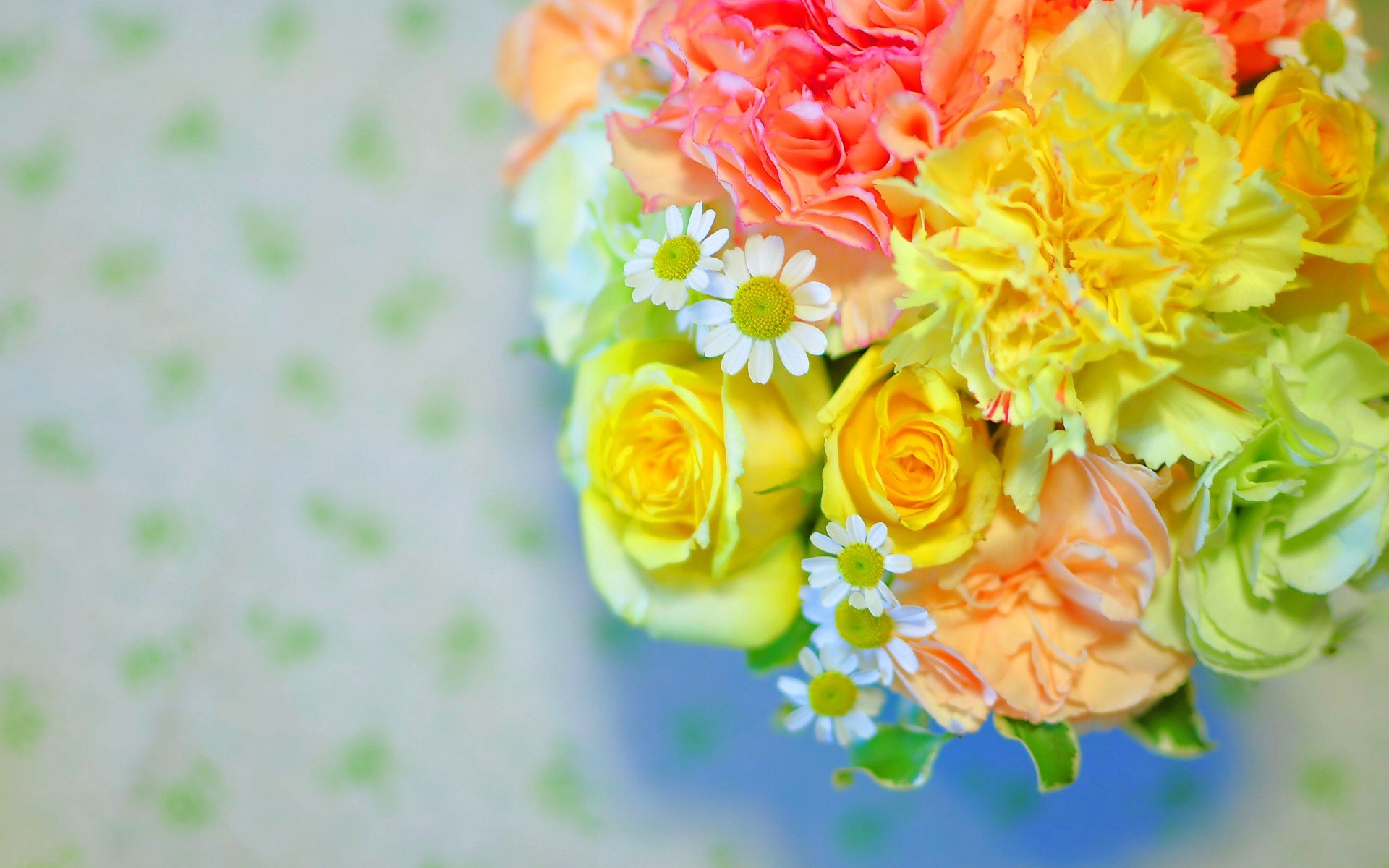 小清新 唯美  娇艳欲滴 花儿 春天 唯美 温暖 温馨一刻  清新淡雅 鸟语花香