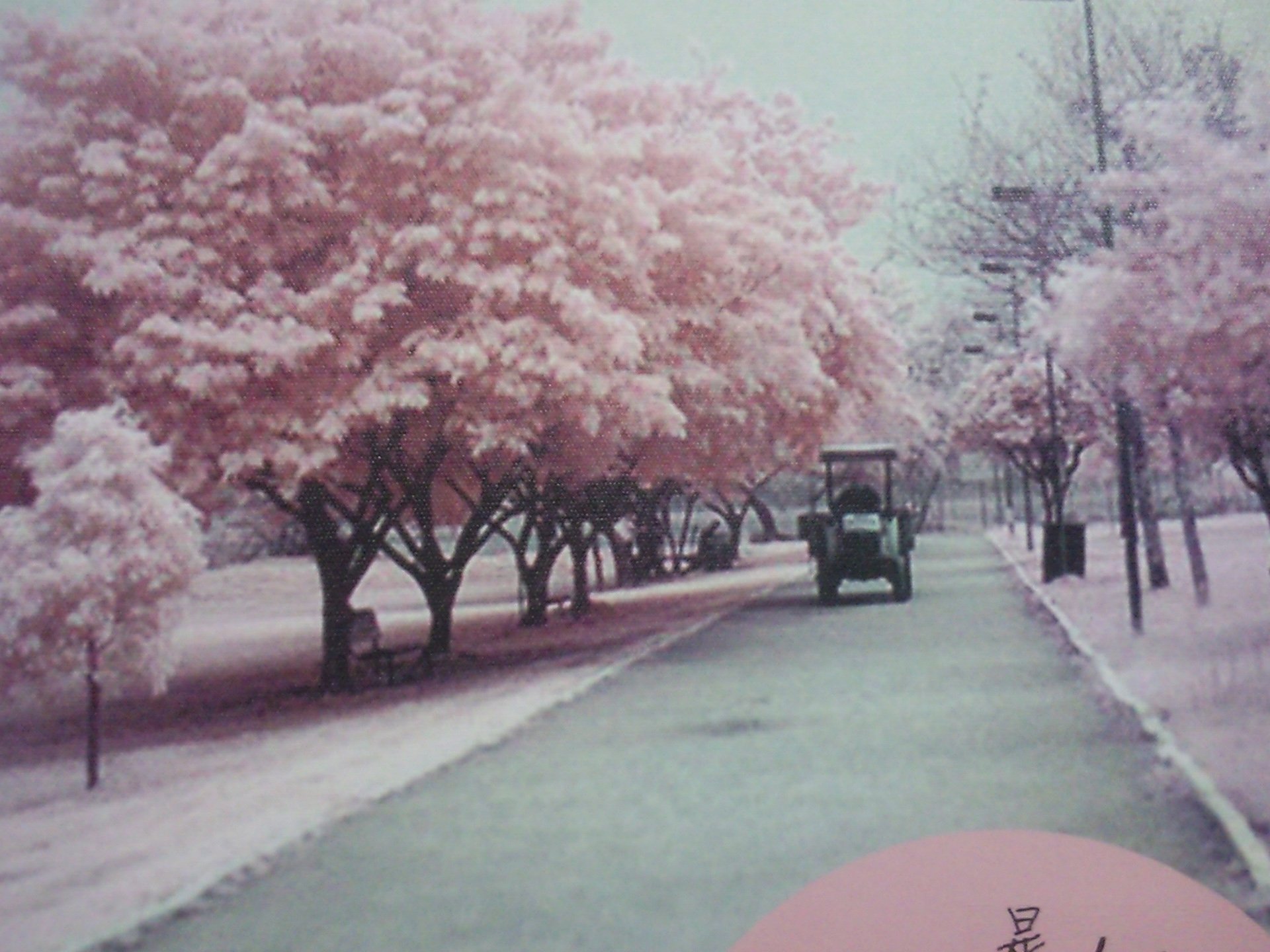 温馨一刻 小清新 风景 LOMO 复古 怀念