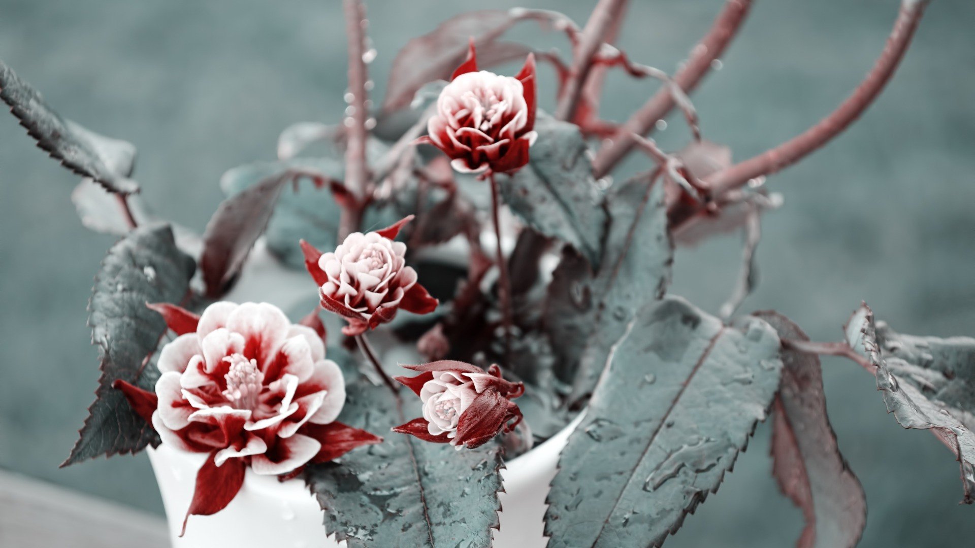 小清新 唯美 温暖 安静