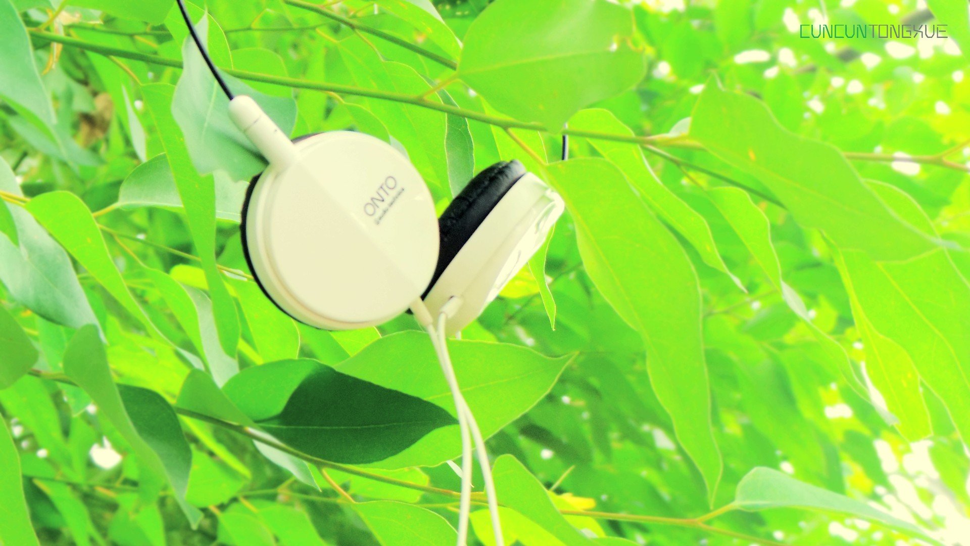 小清新 唯美 温暖 安静