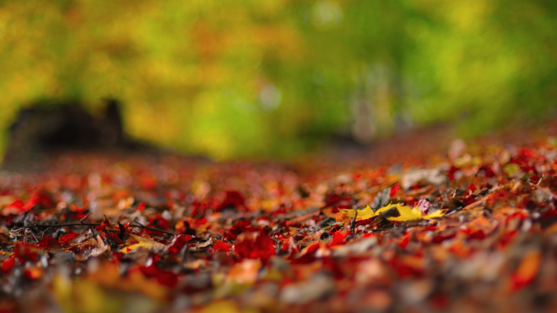 小清新 唯美 温暖 安静