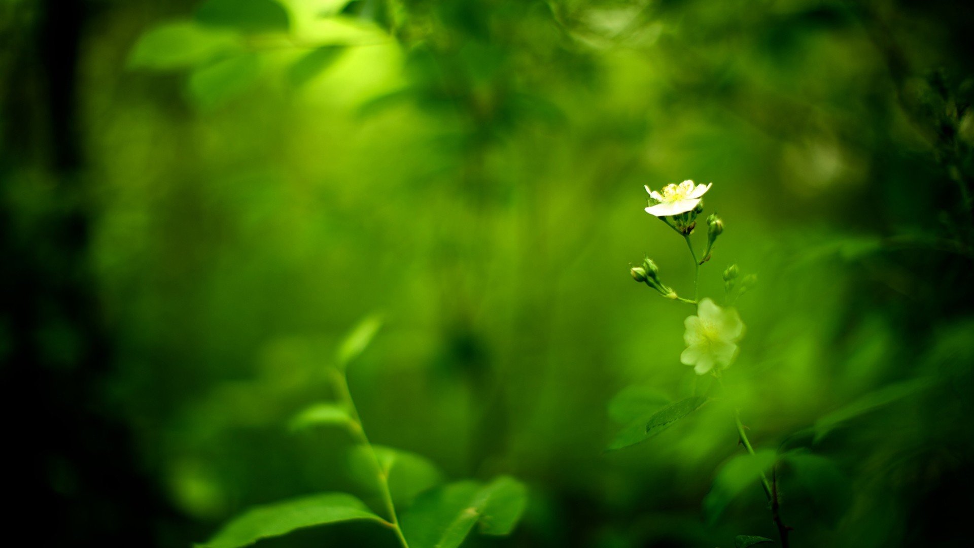 小清新 唯美 温暖 安静