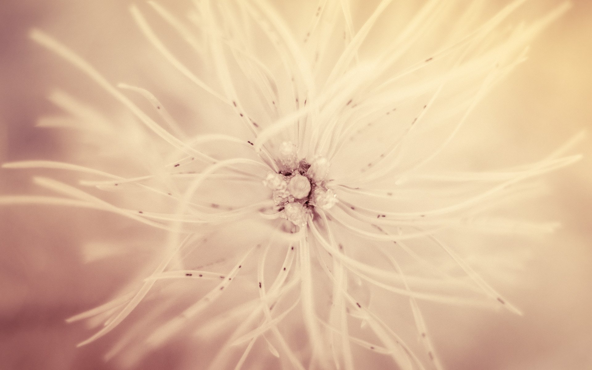 小清新 唯美 温暖 安静