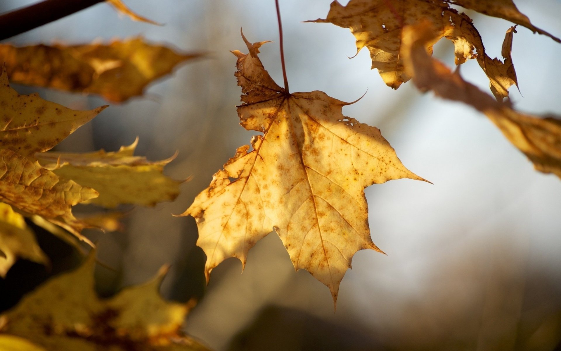 小清新 唯美 温暖 安静