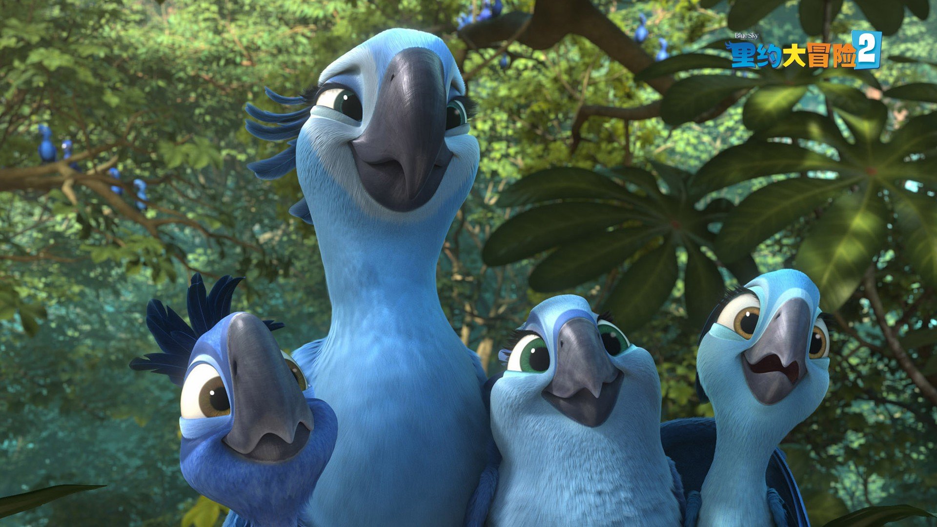 影视剧照 里约大冒险 电影