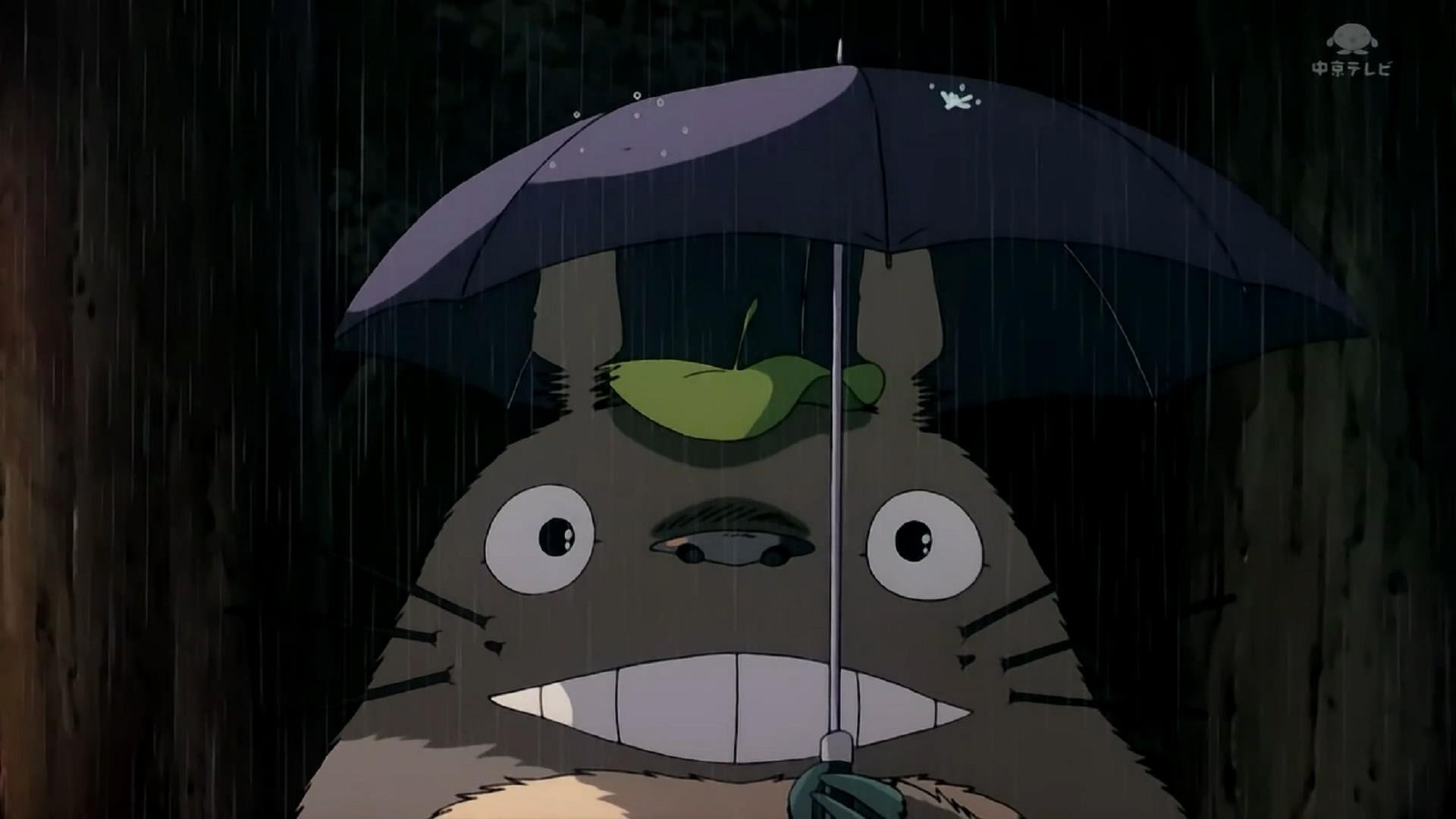 动漫 手绘 龙猫