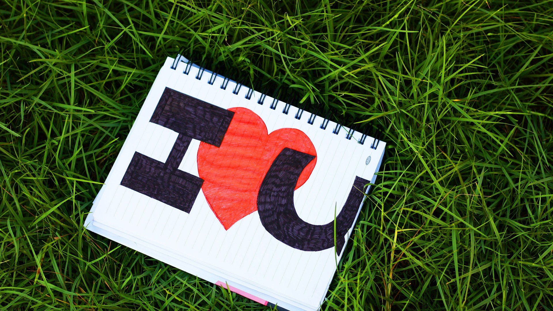 爱情 爱情箴言 文字 浪漫 手写