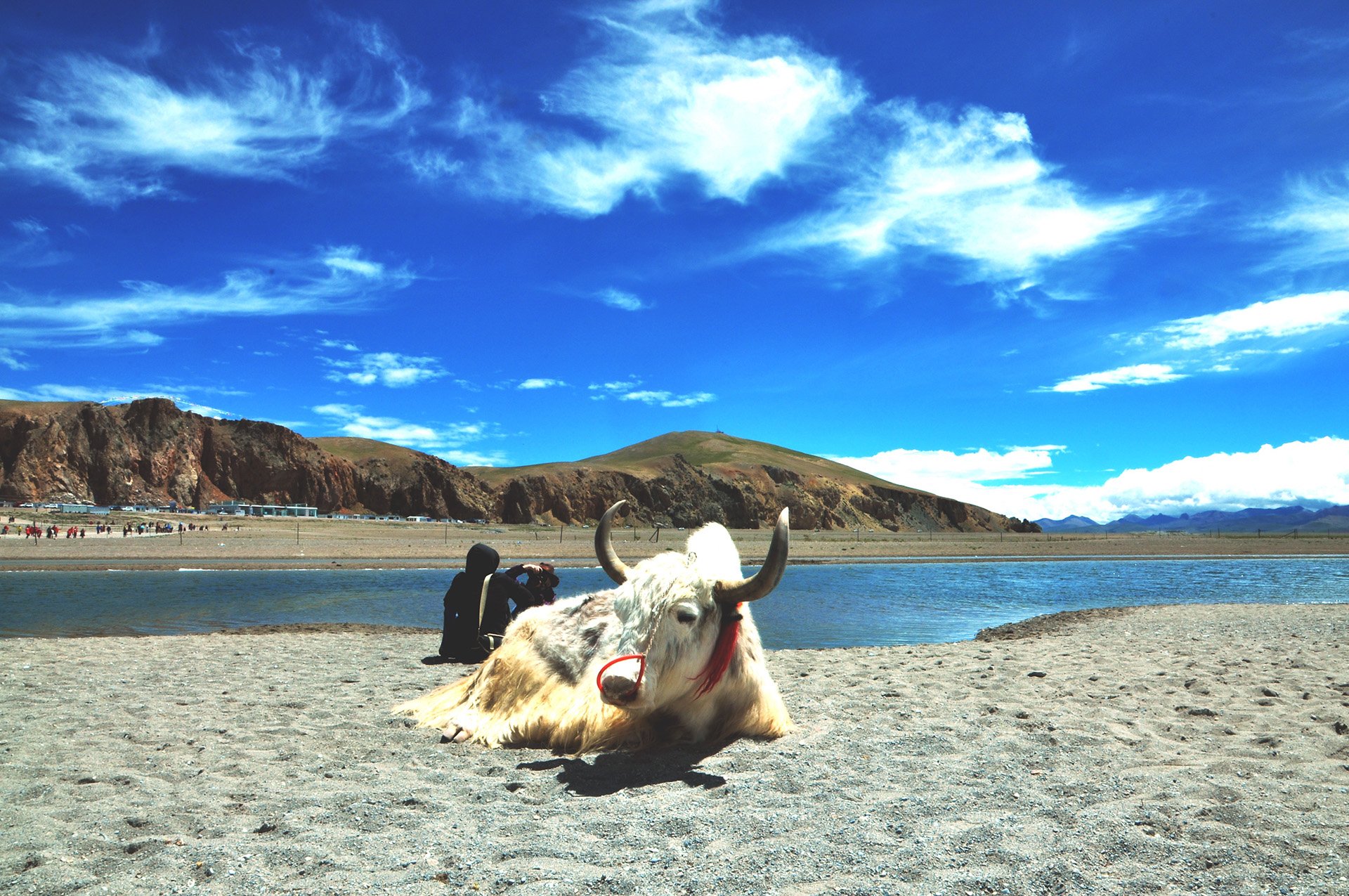 风景 自然风光 旅行 天堂 西藏 旅游胜地 自由 净化心灵