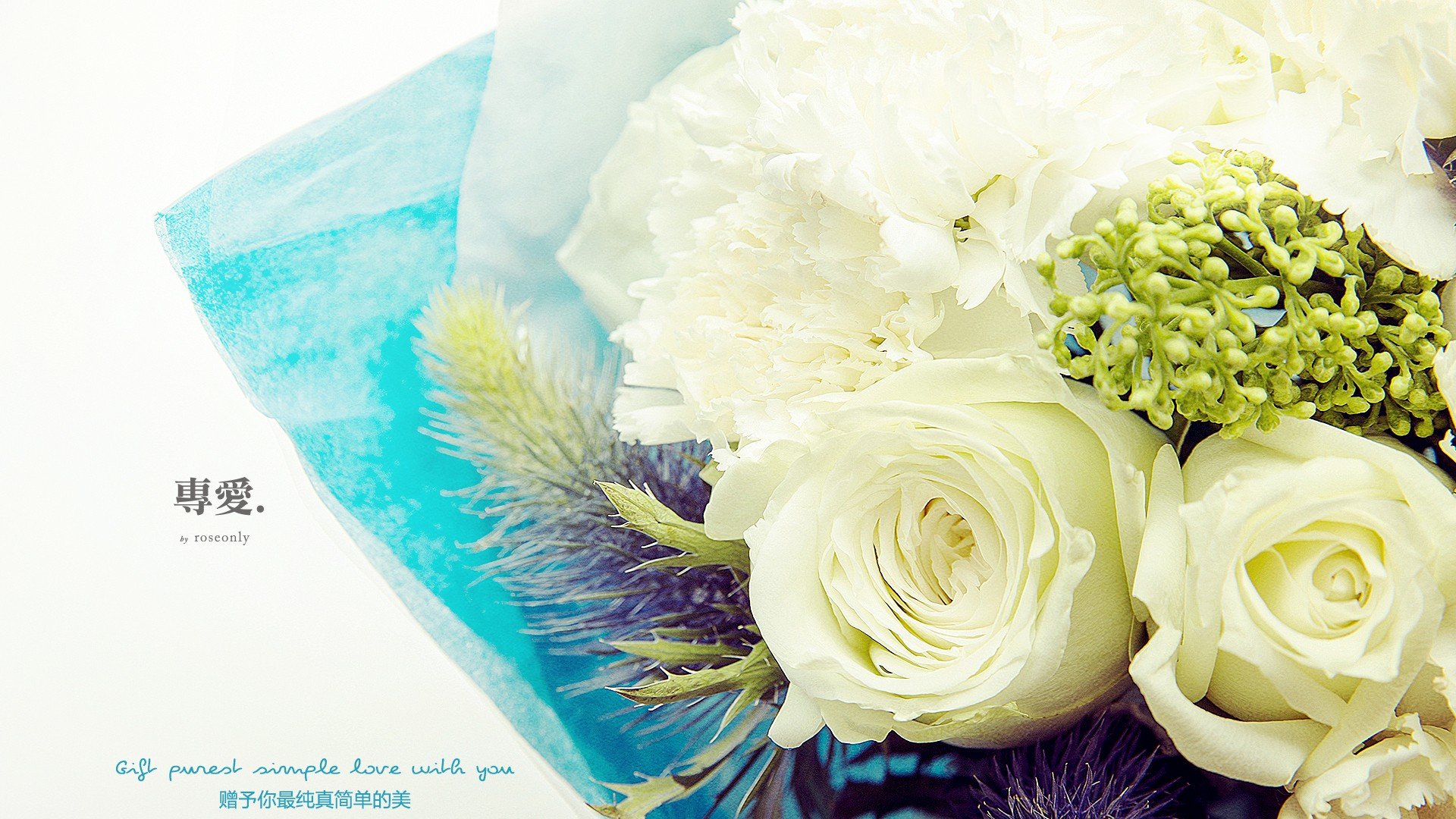 爱情 浪漫 唯美温馨