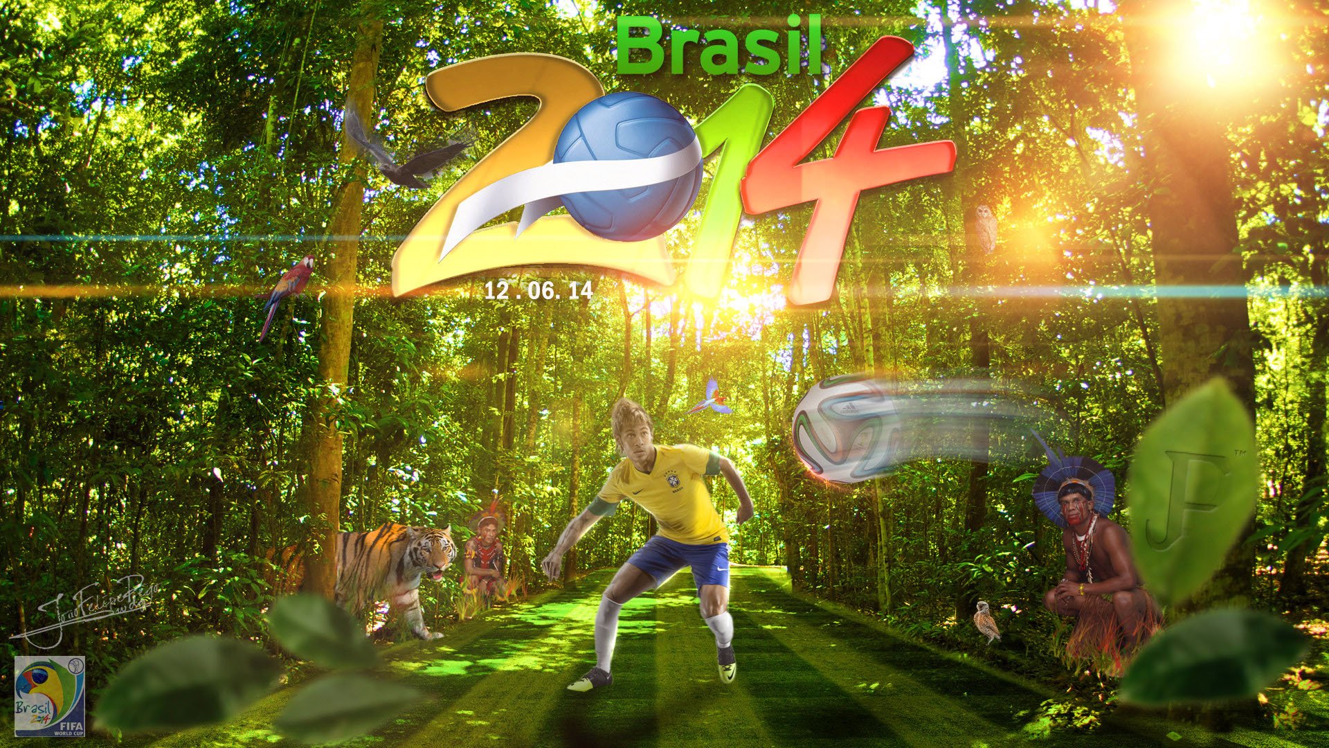 巴西 世界杯 足球 比赛 赛场