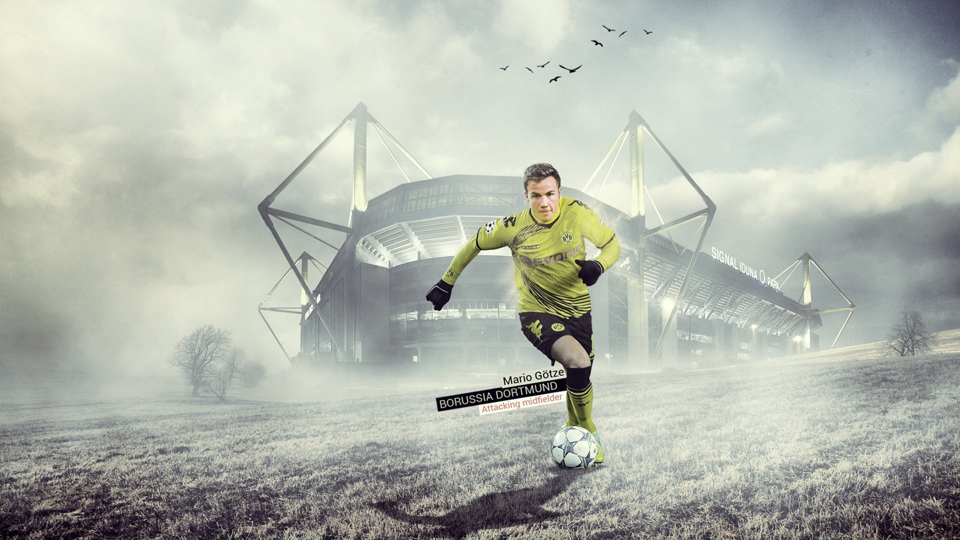 足球 运动 体育 比赛 世界杯 巴西世界杯