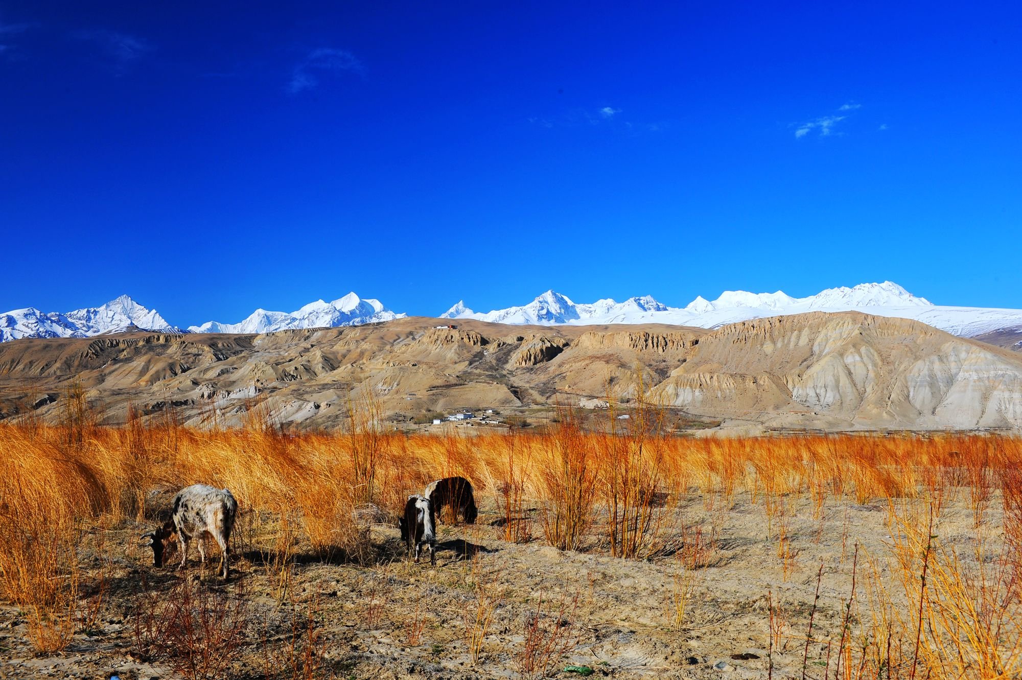 摄影 风景 私人地理 普兰
