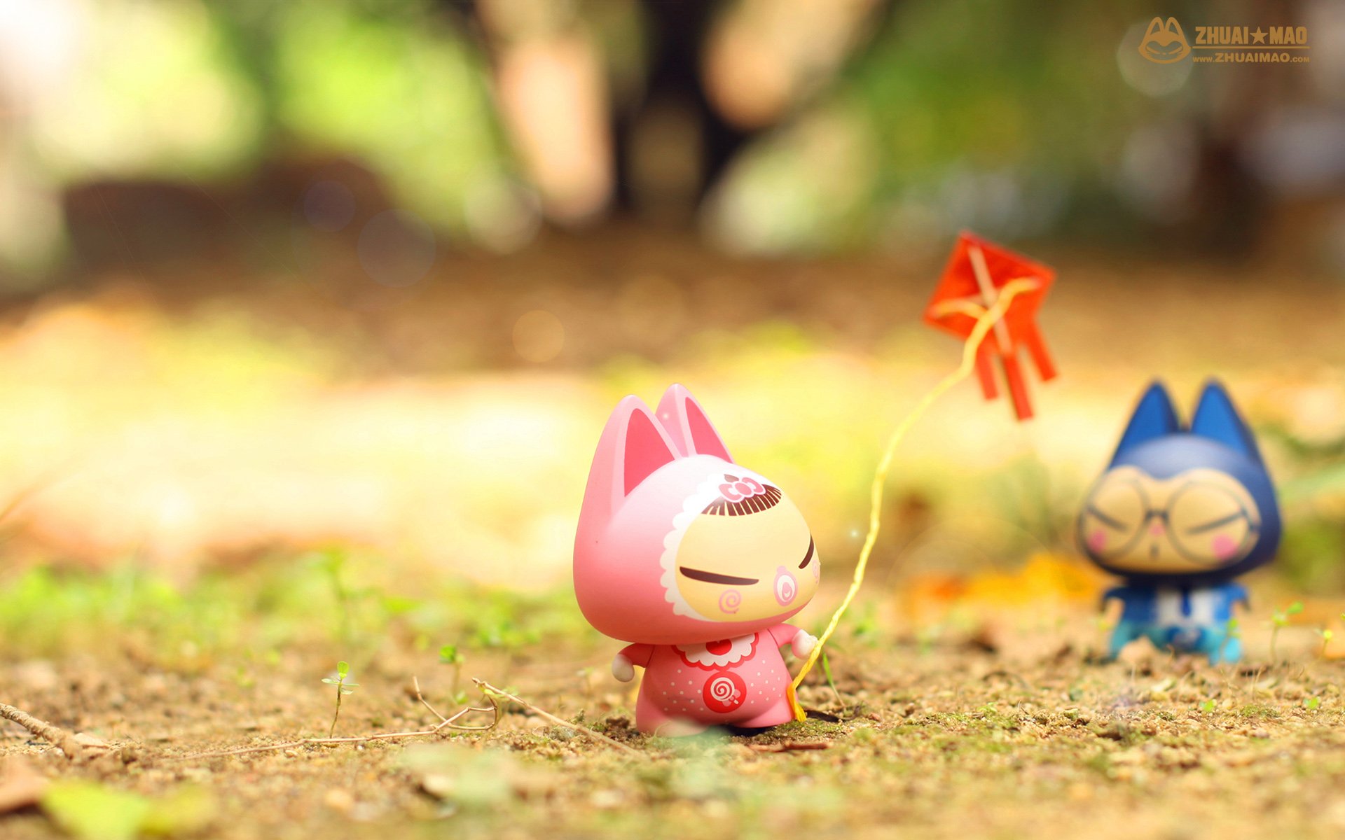 拽猫 父亲节 摄影 小清新 静物 写真