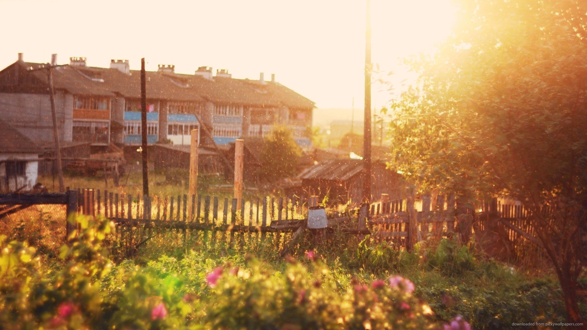 小清新 唯美 温馨 安静 风景