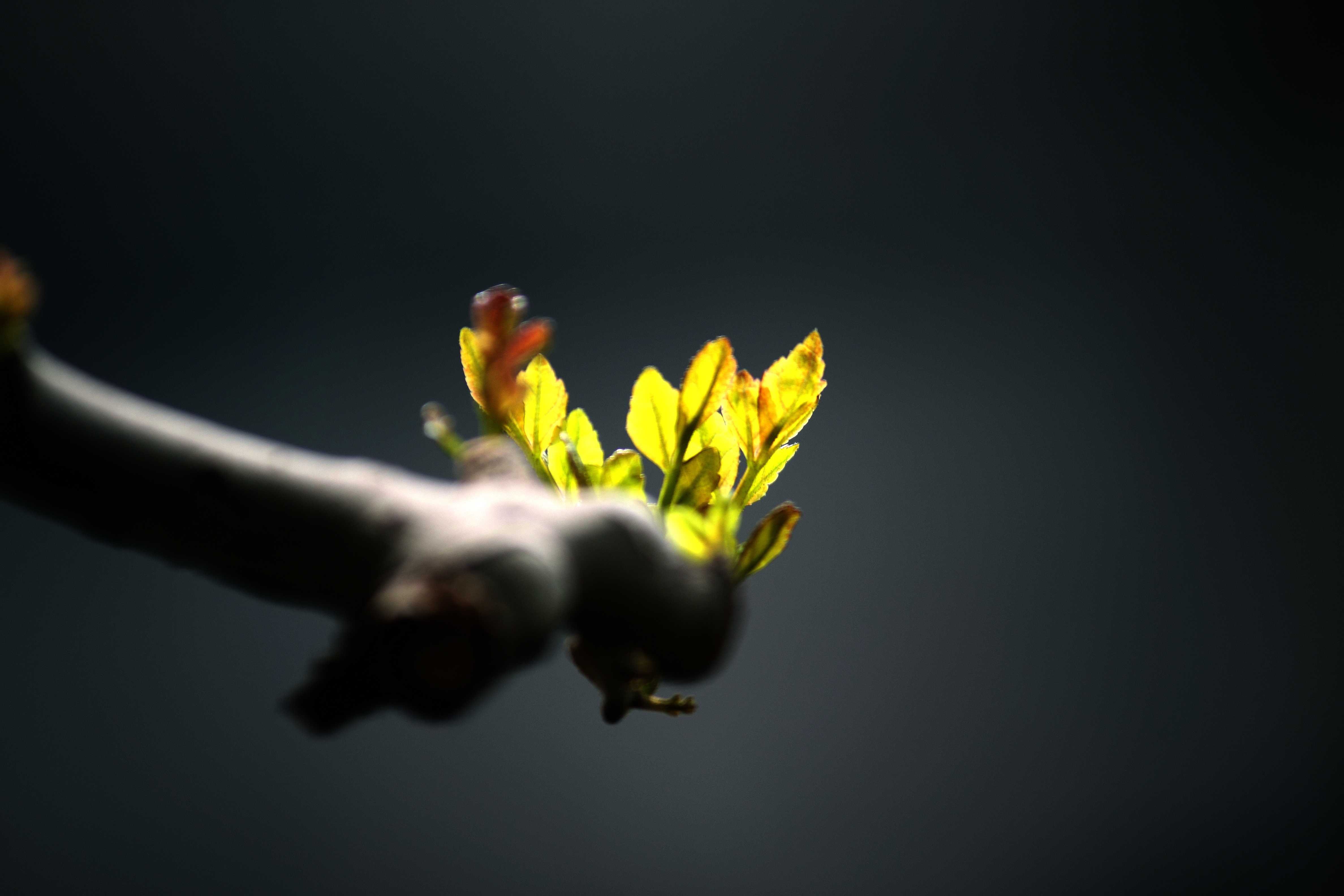 小清新 唯美 温馨 安静