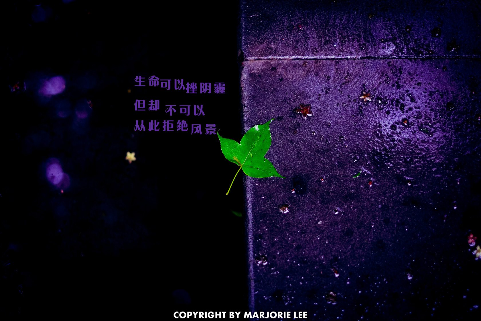 炫酷 另类 个性 简约 文字