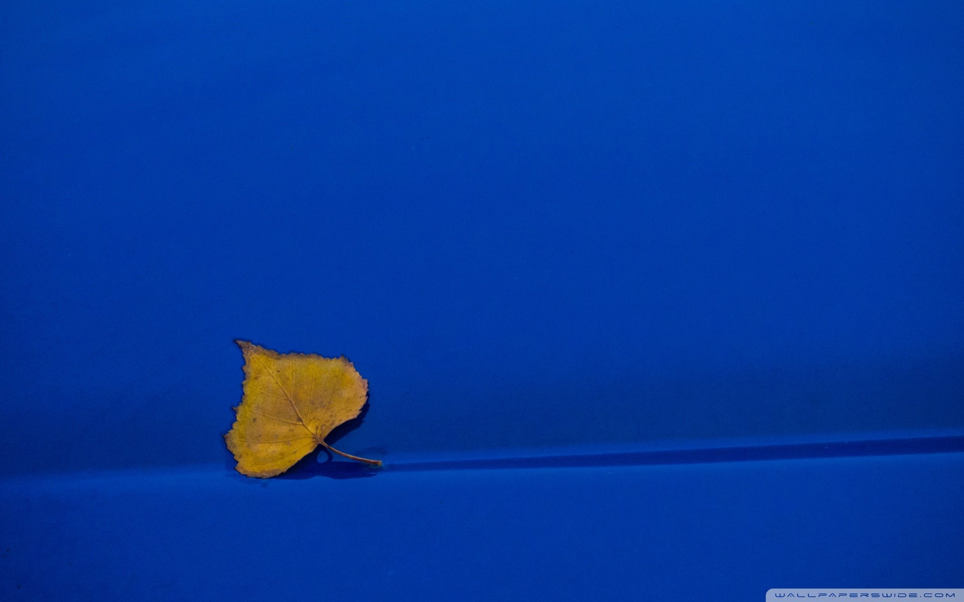 炫酷 另类 个性 简约 叶子