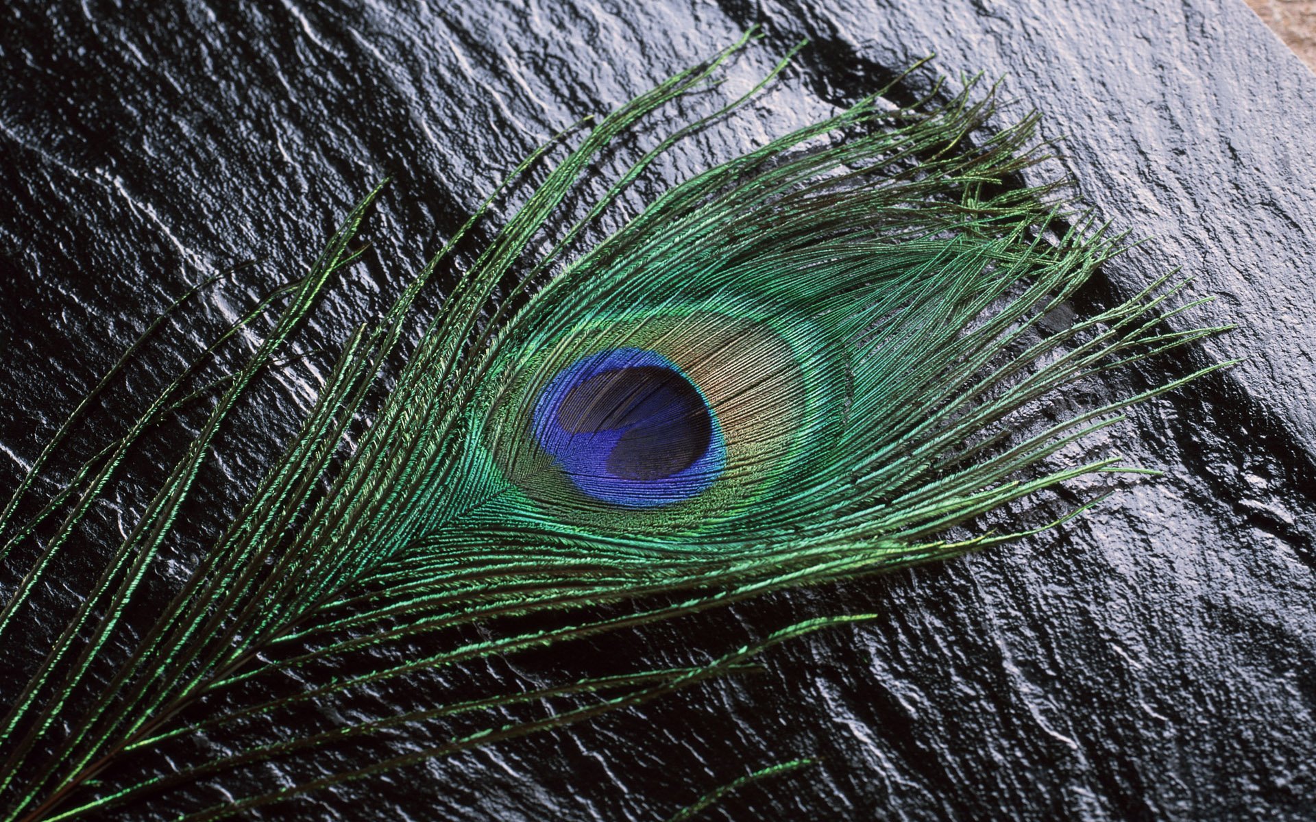 炫酷 另类 个性 简约