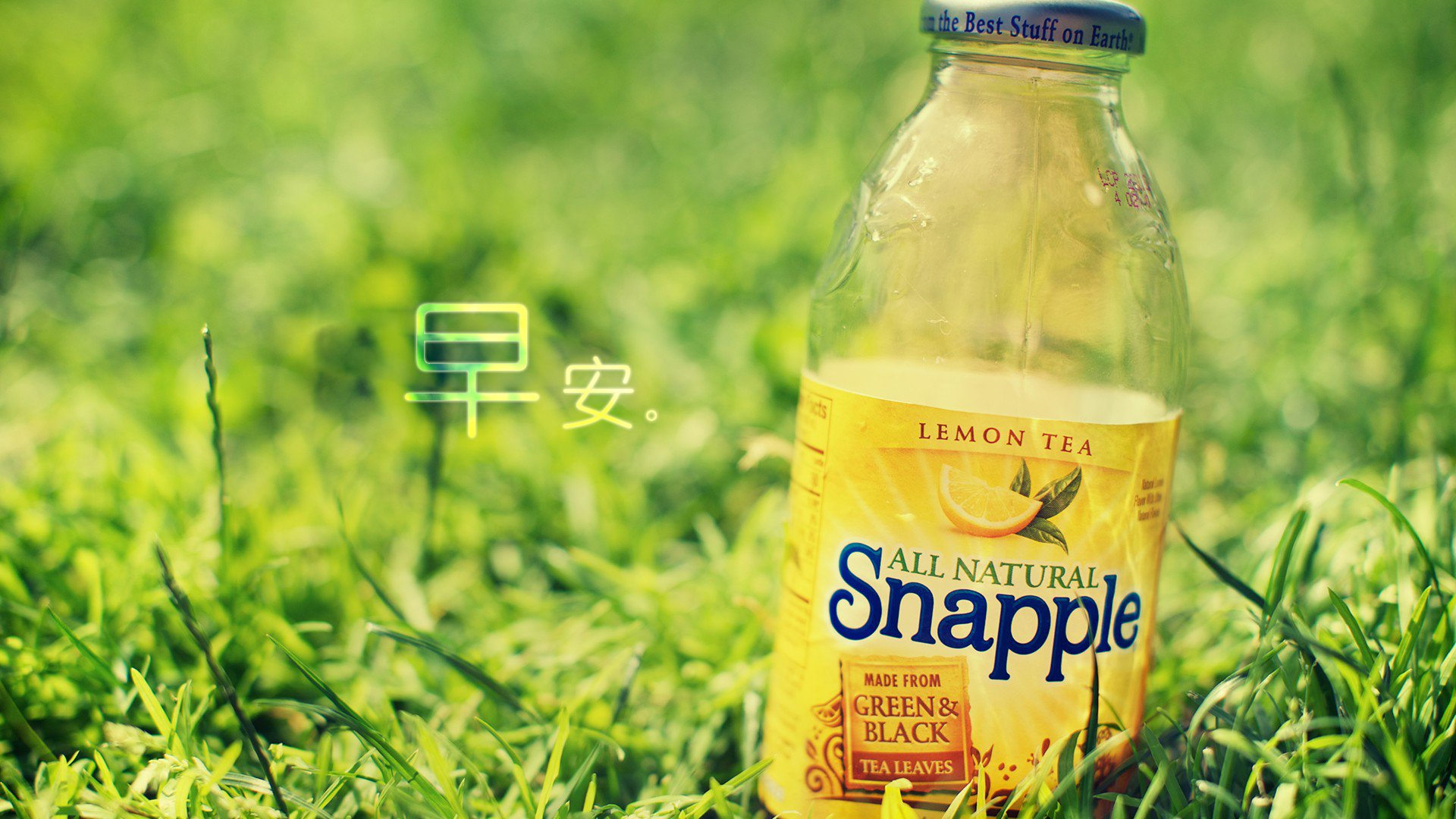 小清新 唯美 草地 瓶子