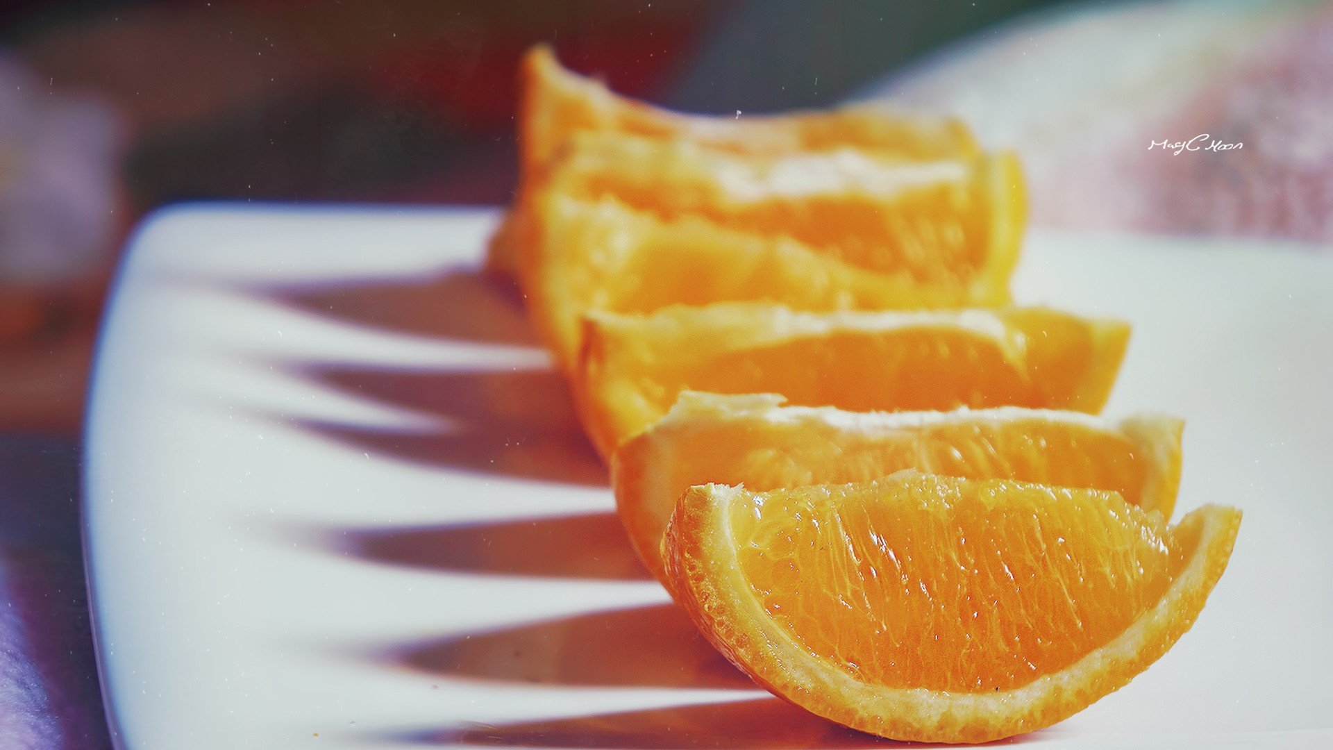 小清新 唯美 静物写真 温馨 物语 回忆 玫瑰