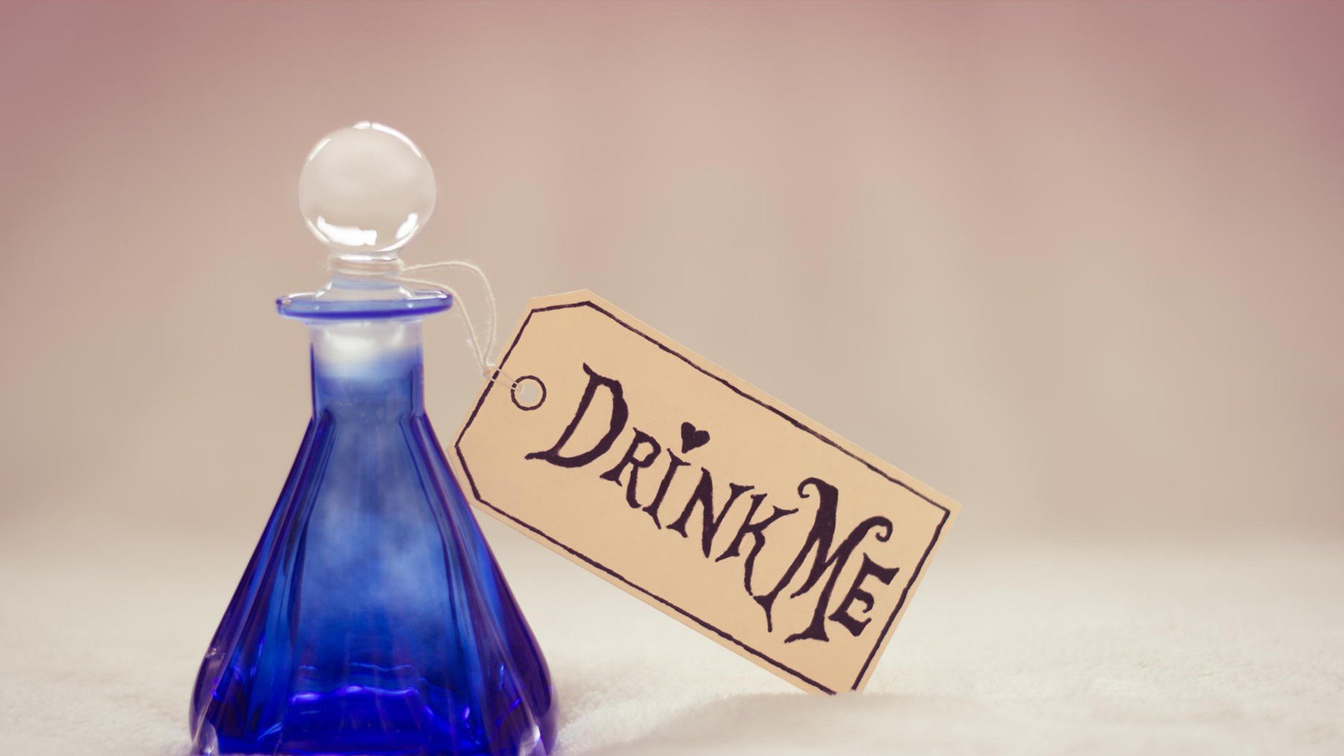 小清新 唯美 静物写真 温馨 物语 回忆 骷髅