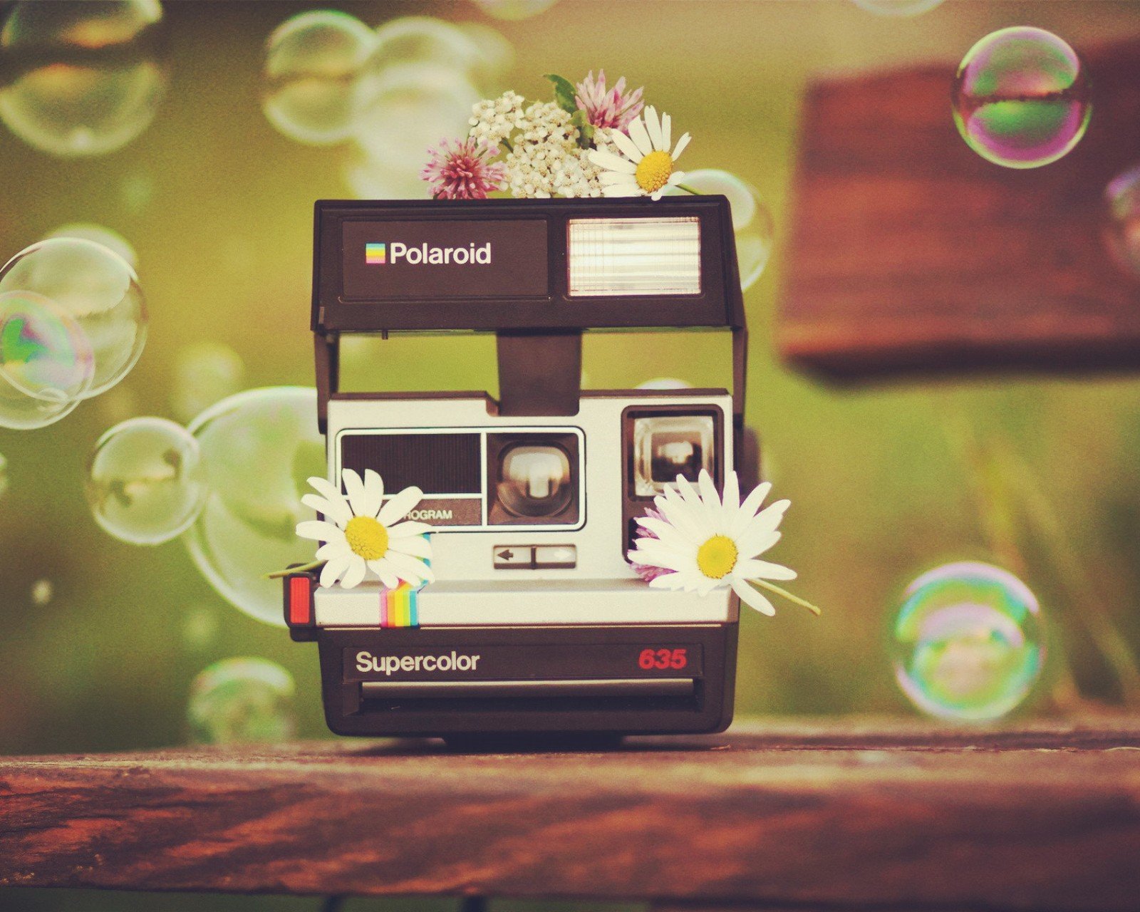 小清新 唯美 静物写真 温馨 物语 回忆 大提琴