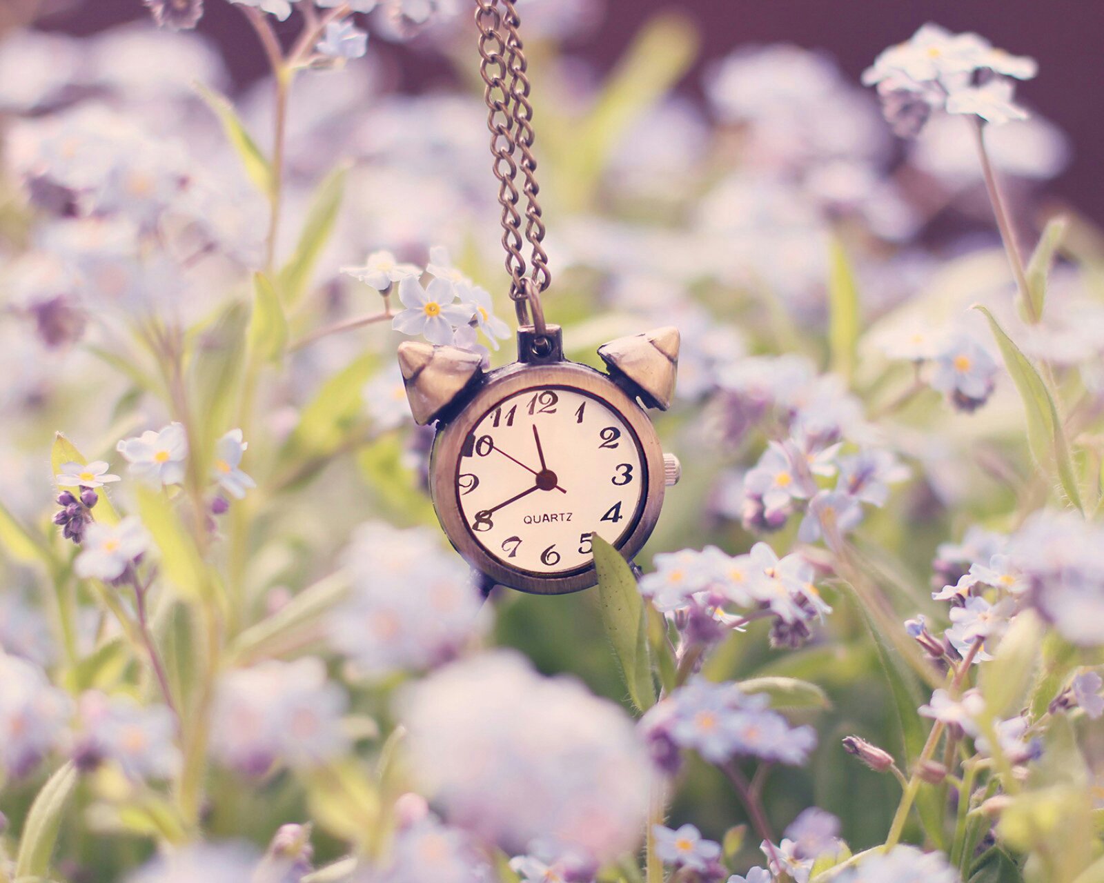 小清新 唯美 静物写真 温馨 物语 回忆 掌心