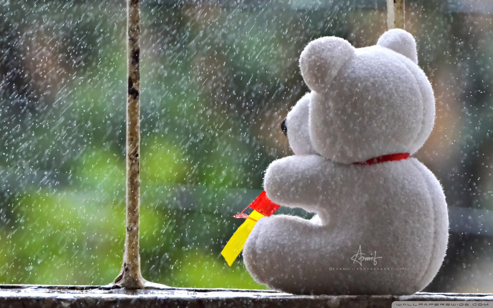 小清新 唯美 静物写真 温馨 物语 回忆 CD 复古 回忆