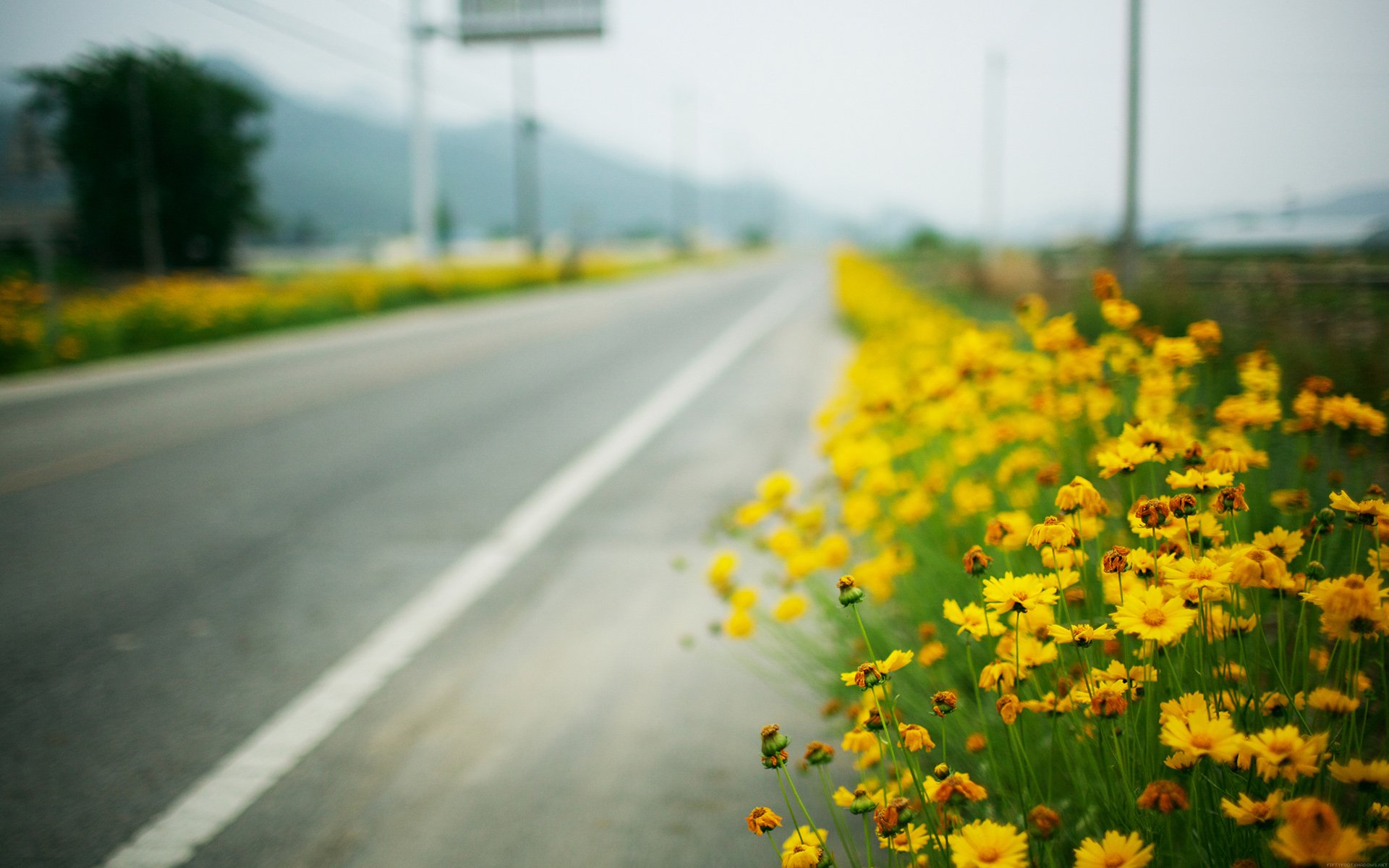 风景 公路 路 远方