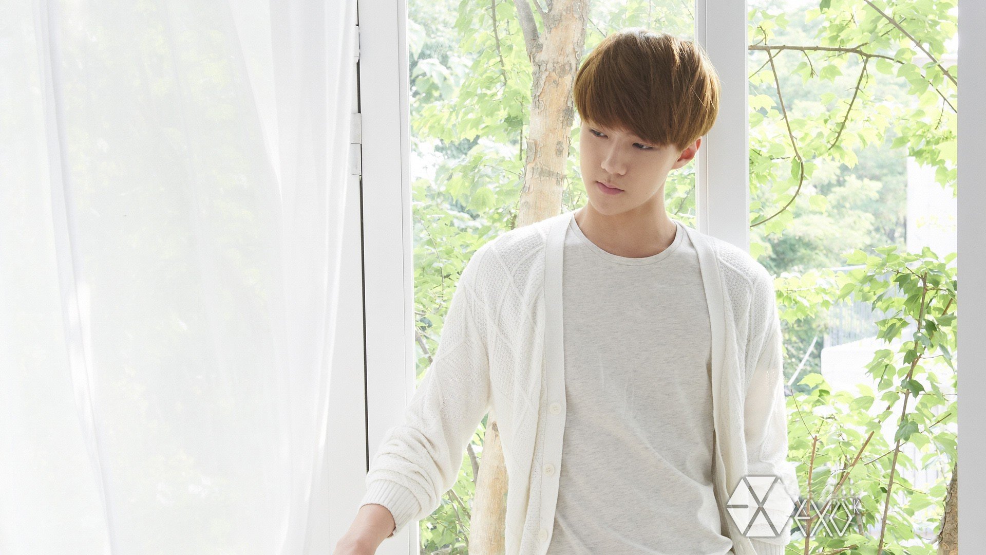 EXO 世勋 韩国组合 帅哥