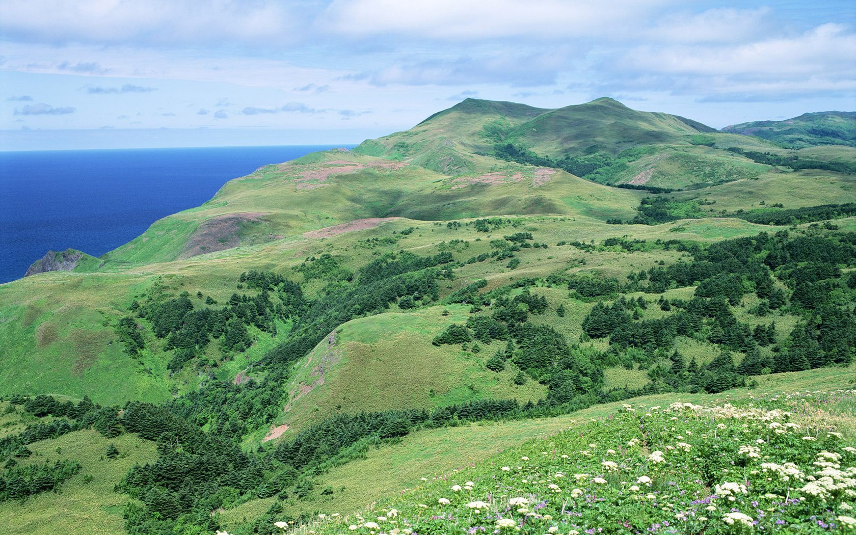 风景 自然风光 大自然 唯美 日本 北海道 日系 旅游胜地