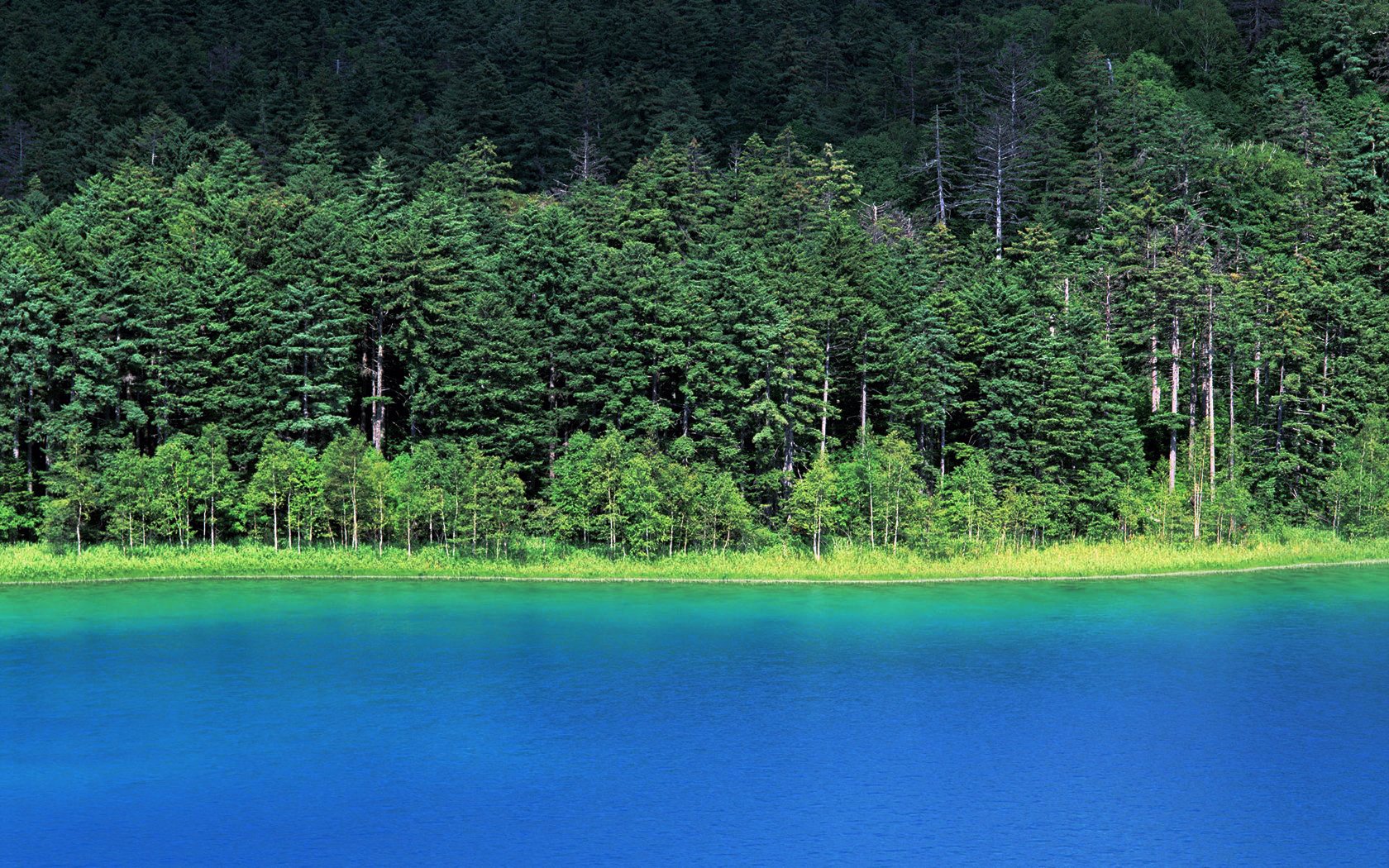风景 自然风光 大自然 唯美 日本 北海道 日系 旅游胜地