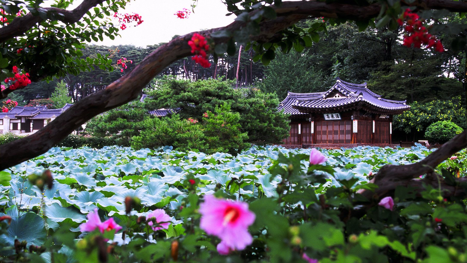 风景 自然风光 大自然