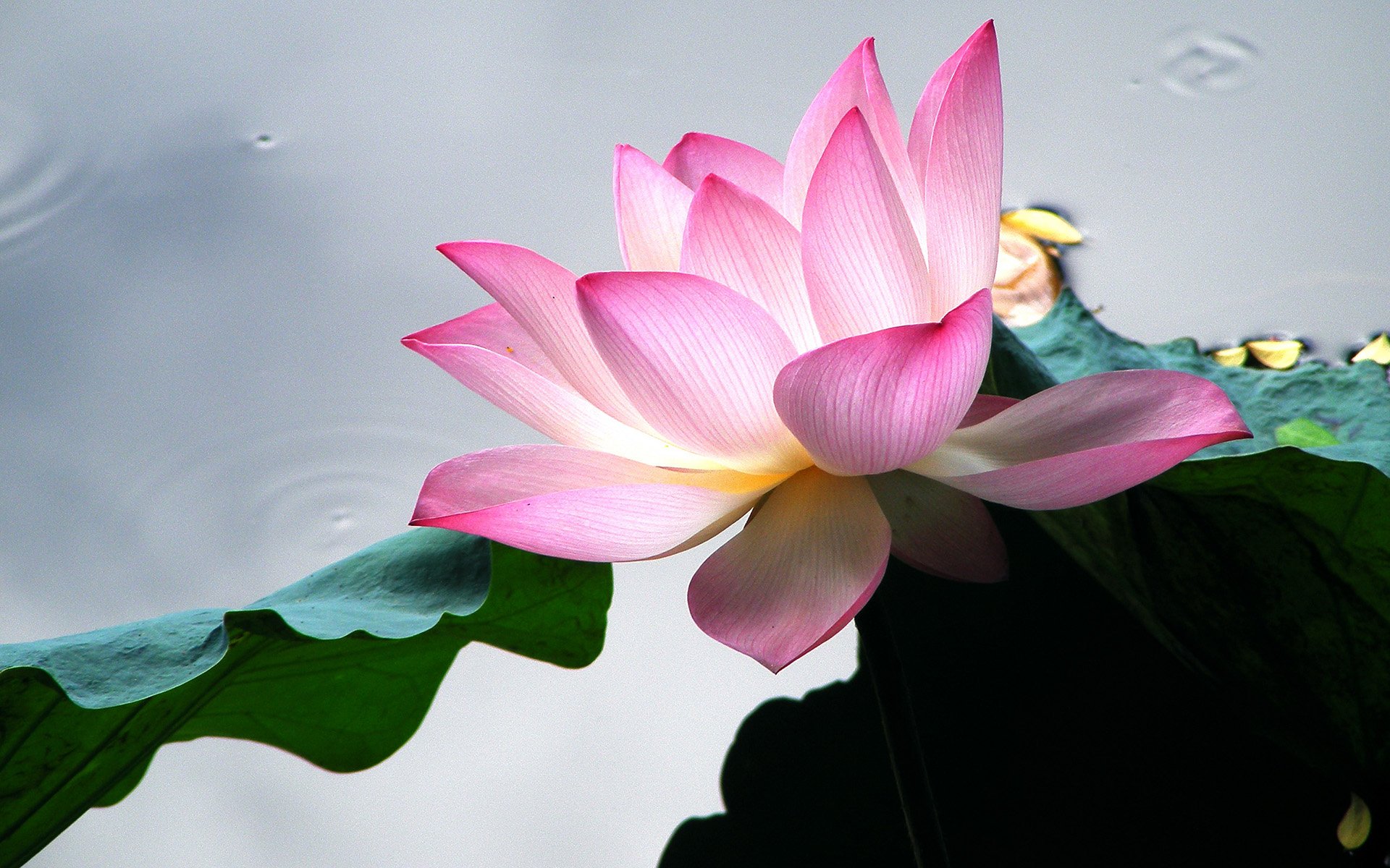 小清新 温暖 干净 安静 唯美 静物 物语 时光