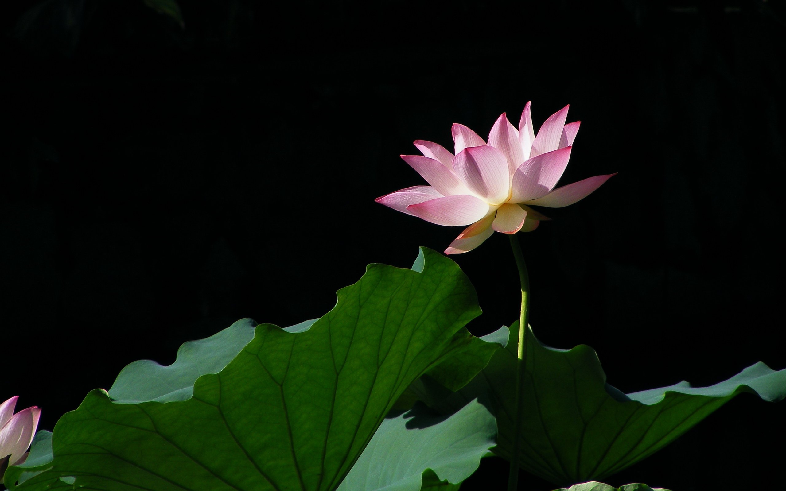 小清新 温暖 干净 安静 唯美 静物 物语 时光