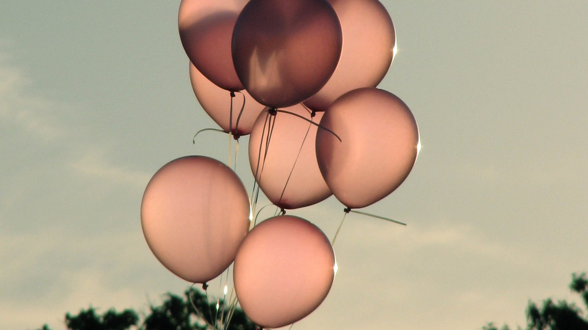 小清新 温暖 干净 安静 唯美 静物 物语 时光