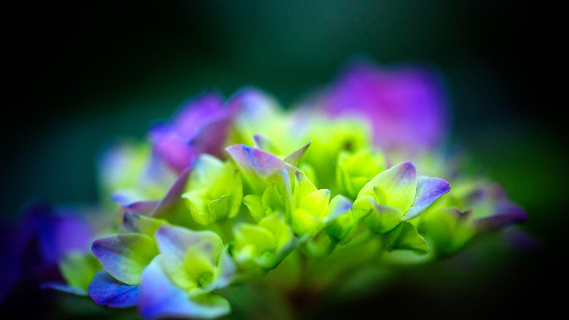 小清新 温暖 干净 安静 唯美 静物 物语 时光