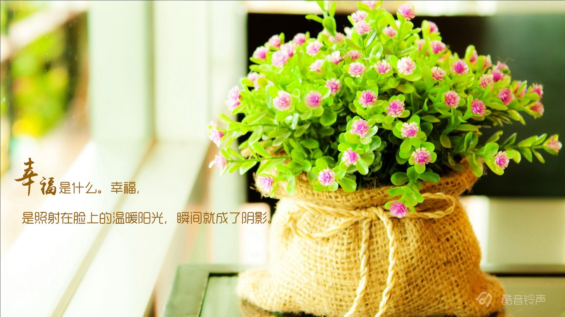 小清新 温暖 干净 安静 唯美 静物 物语 时光 恋生活 文字 @酷音铃声