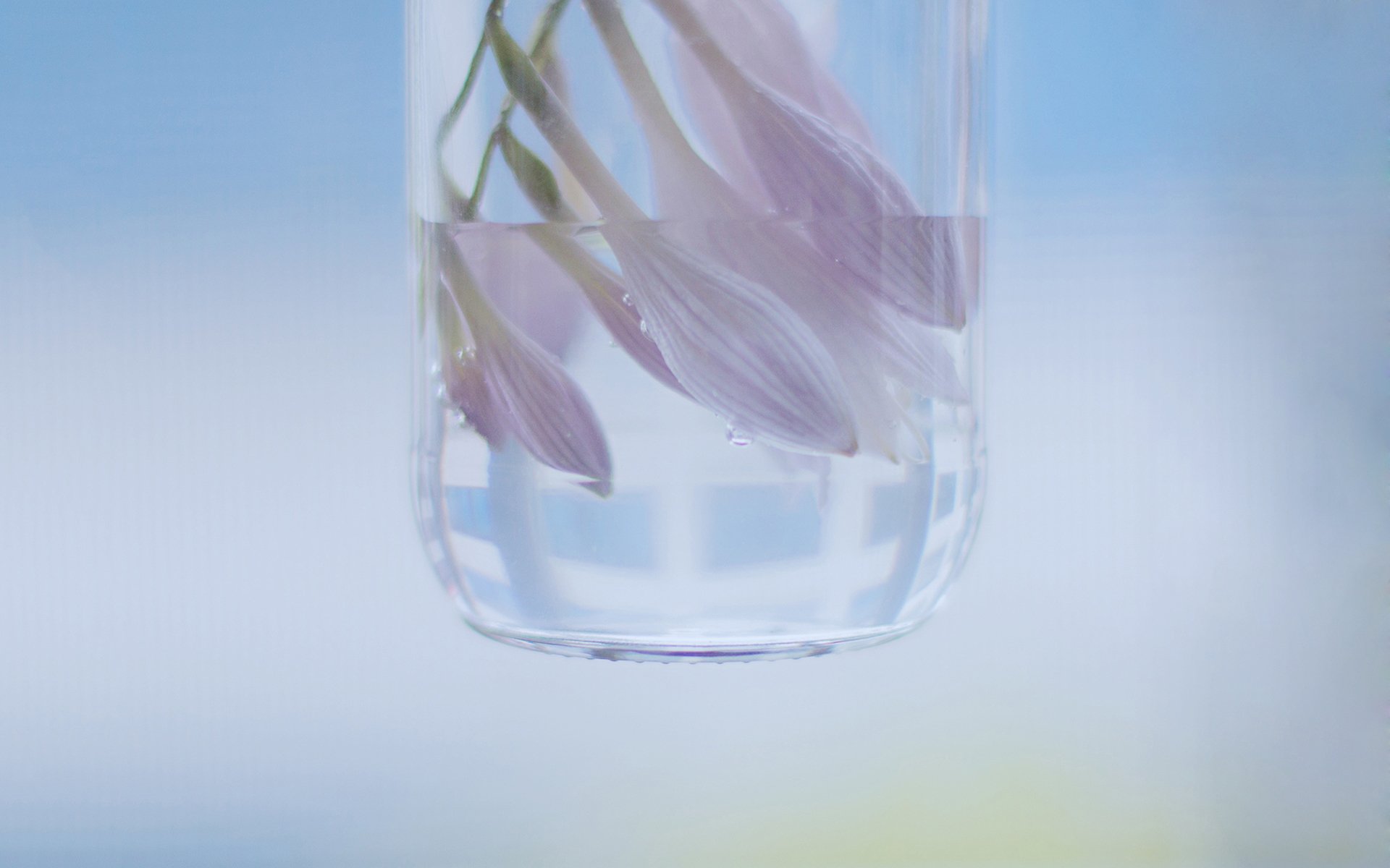 小清新 温暖 干净 安静 唯美 静物 物语 时光