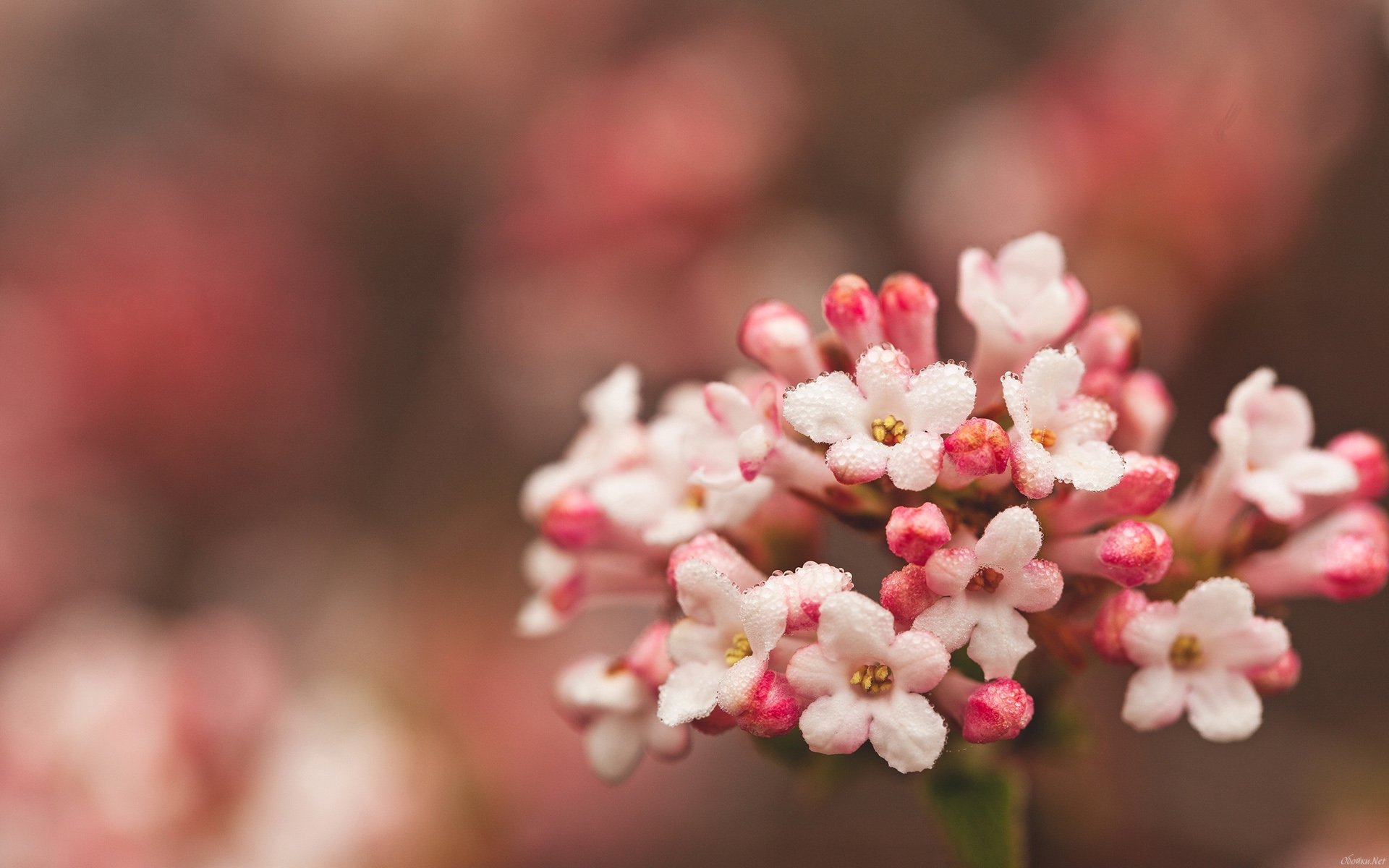 小清新 温暖 干净 安静 唯美 静物 物语 时光