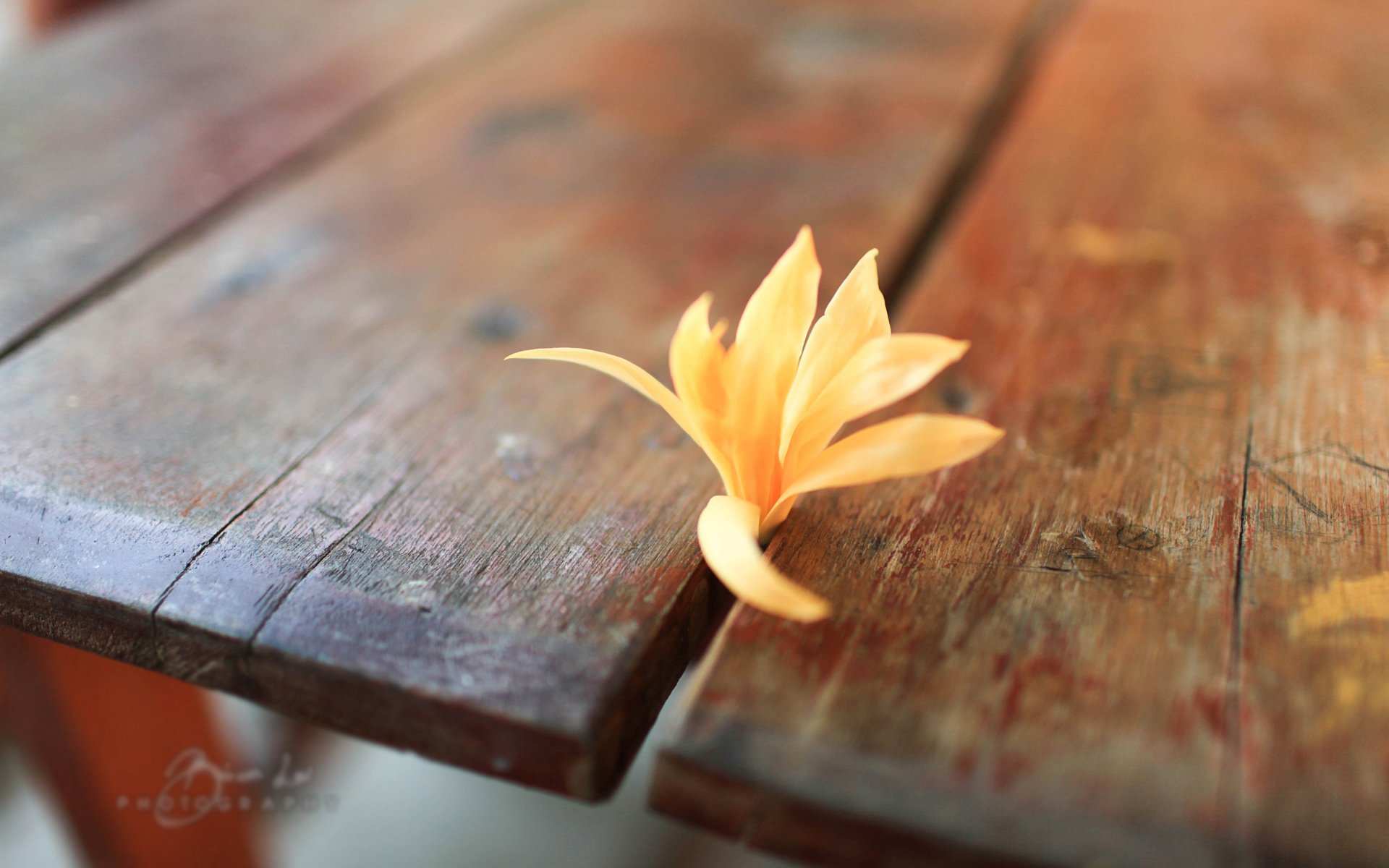 小清新 温暖 干净 安静 唯美 静物 物语 时光