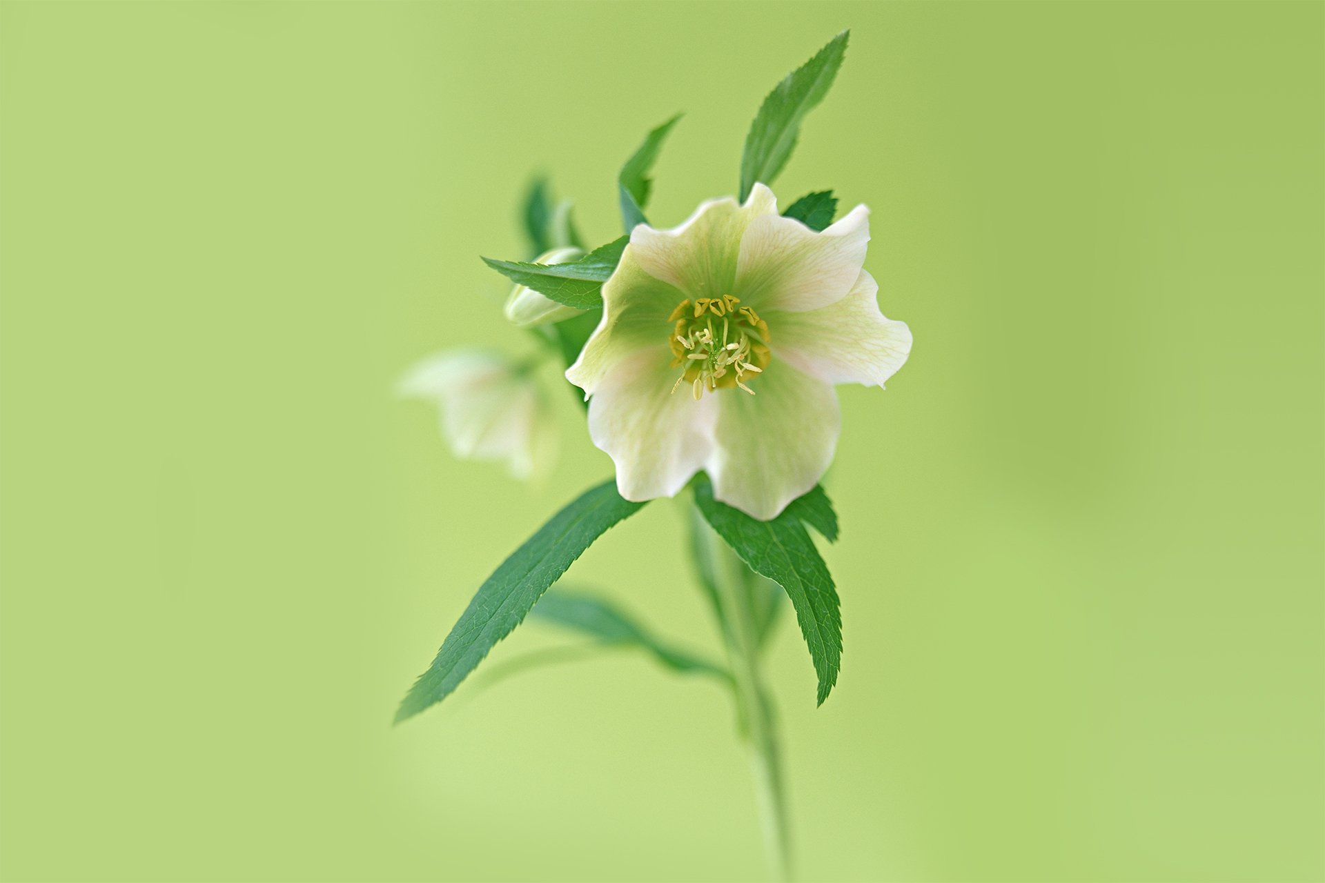 小清新 温暖 干净 安静 唯美 静物 物语 时光