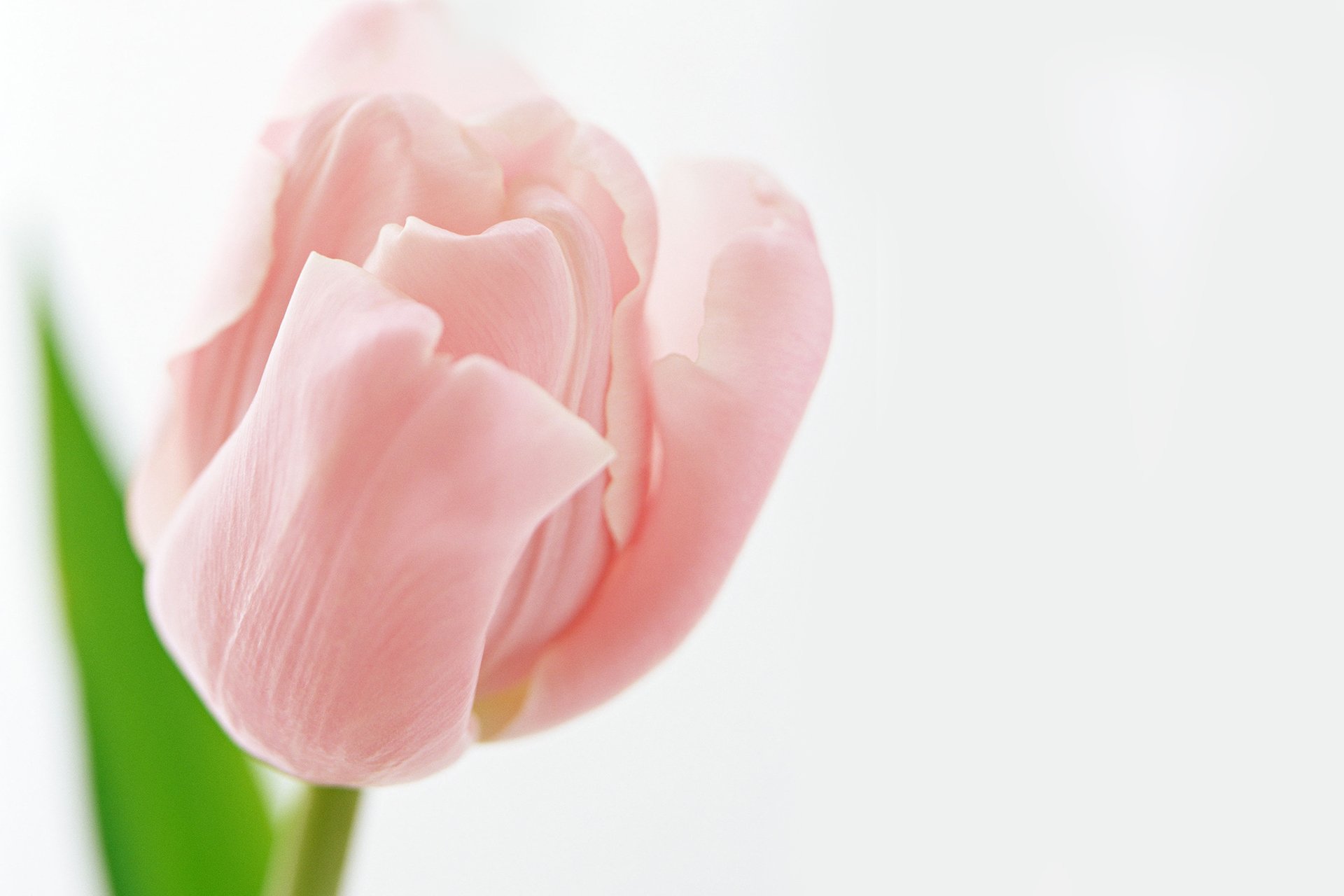 小清新 温暖 干净 安静 唯美 静物 物语 时光