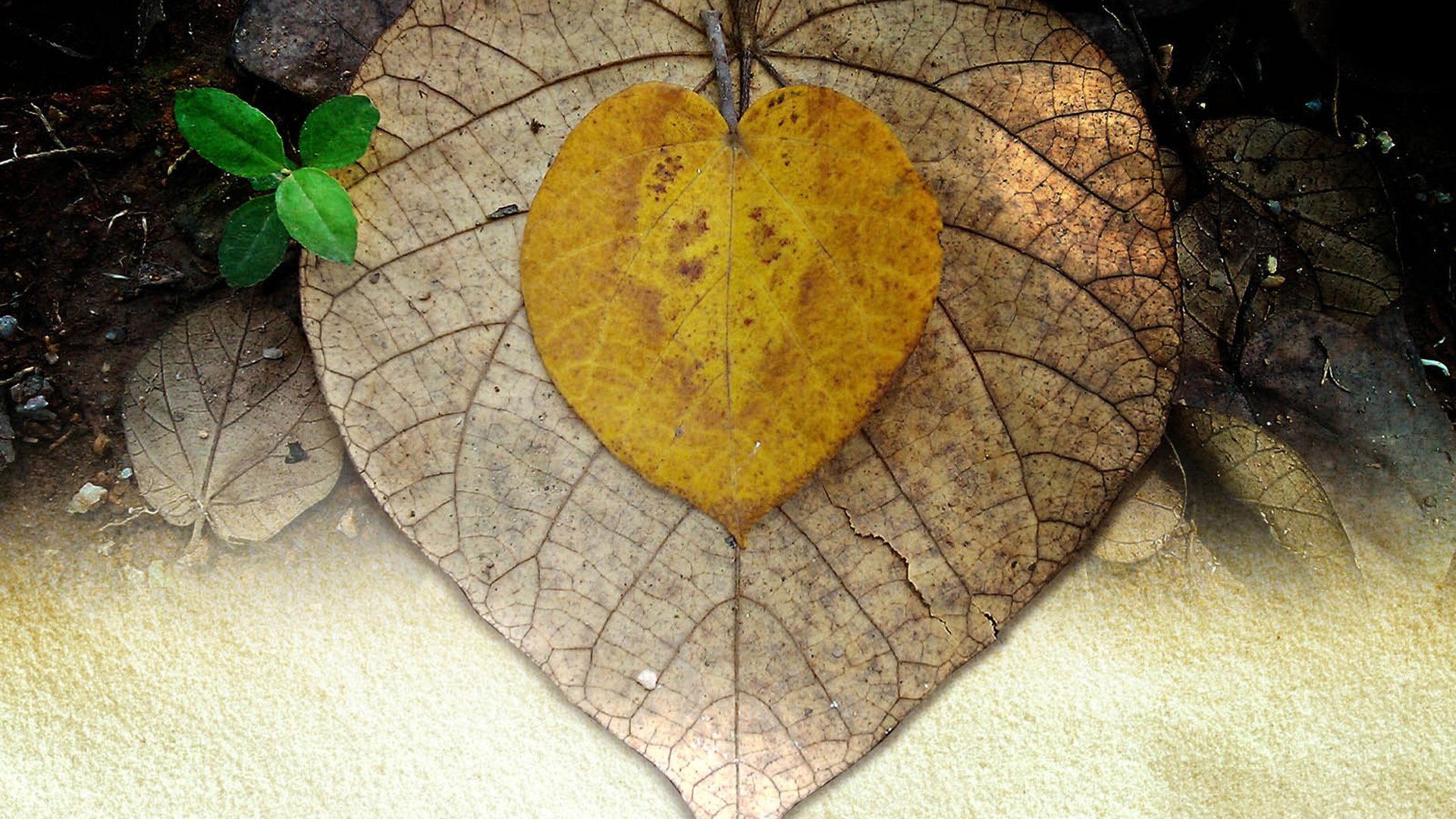 小清新 温暖 干净 安静 唯美 静物 物语 时光 清新淡雅 宁静安详