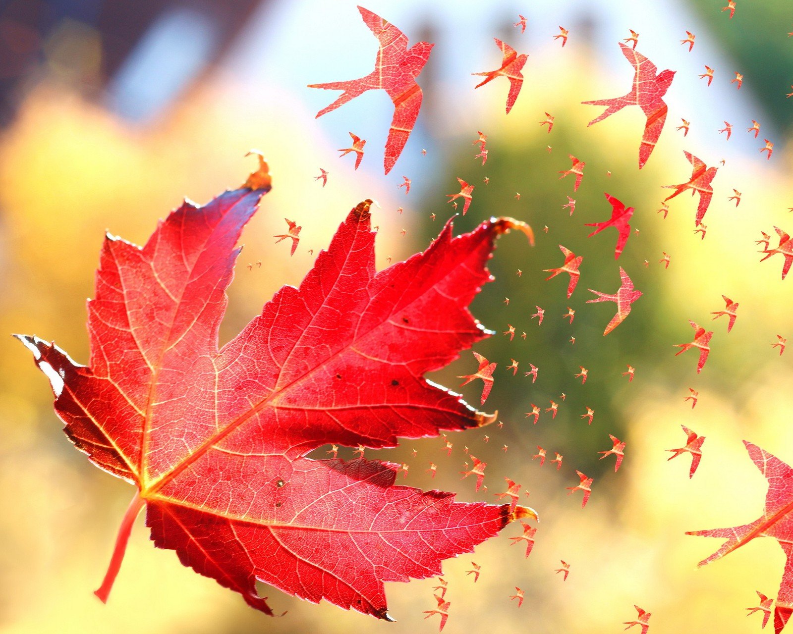 小清新 温暖 干净 安静 唯美 静物 物语 时光 清新淡雅 宁静安详