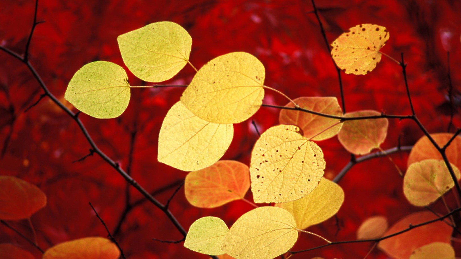 小清新 温暖 干净 安静 唯美 静物 物语 时光 清新淡雅 宁静安详