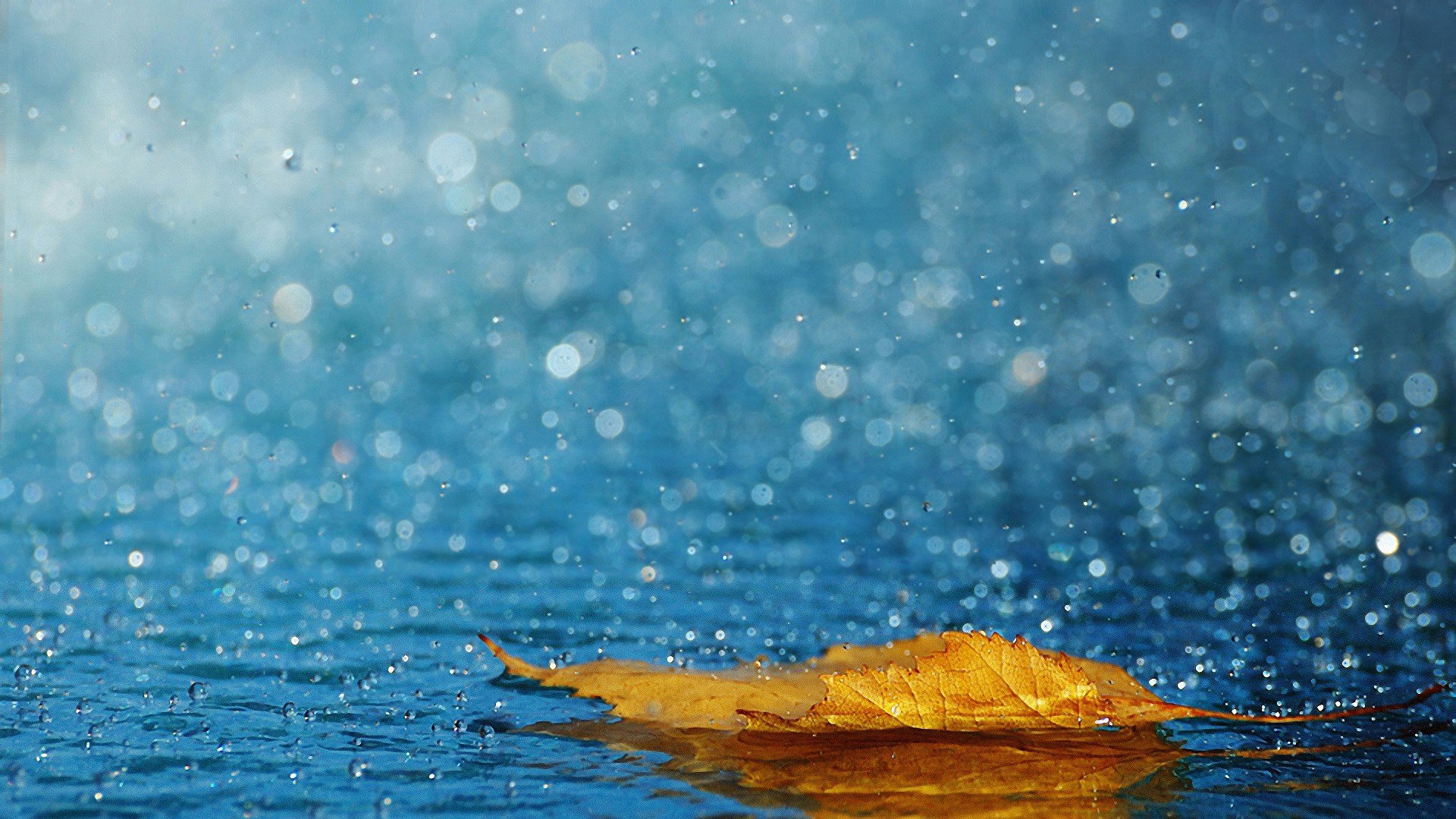 小清新 温暖 干净 安静 唯美 静物 物语 时光 清新淡雅 宁静安详